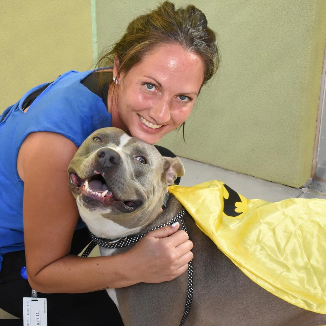 Wally living his dream, getting all of the love! 💙 He had a blast meeting everyone at the Fall Festival yesterday. Thank you to our amazing partners, the @heidisvillage team, for helping us get dogs like Wally into forever homes. We are very grateful, we can not do this alone! 

<a target='_blank' href='https://www.instagram.com/explore/tags/adoptANM/'>#adoptANM</a> <a target='_blank' href='https://www.instagram.com/explore/tags/rescuingsaveslives/'>#rescuingsaveslives</a>