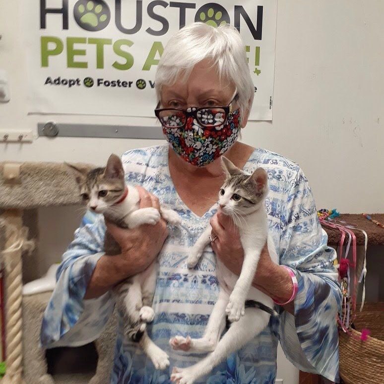 Congratulations Harmonee and Honey Bee! They are ready to start this new chapter in their furever home with their new best friend for life! Cheers to all the love ahead!⠀
⠀
<a target='_blank' href='https://www.instagram.com/explore/tags/houstonpetsalive/'>#houstonpetsalive</a> <a target='_blank' href='https://www.instagram.com/explore/tags/harmonee/'>#harmonee</a> <a target='_blank' href='https://www.instagram.com/explore/tags/honeybee/'>#honeybee</a> <a target='_blank' href='https://www.instagram.com/explore/tags/cat/'>#cat</a> <a target='_blank' href='https://www.instagram.com/explore/tags/cats/'>#cats</a> <a target='_blank' href='https://www.instagram.com/explore/tags/catsofinstagram/'>#catsofinstagram</a> <a target='_blank' href='https://www.instagram.com/explore/tags/cats_of_instagram/'>#cats_of_instagram</a> <a target='_blank' href='https://www.instagram.com/explore/tags/cutecat/'>#cutecat</a> <a target='_blank' href='https://www.instagram.com/explore/tags/beautifulcat/'>#beautifulcat</a> <a target='_blank' href='https://www.instagram.com/explore/tags/kitten/'>#kitten</a> <a target='_blank' href='https://www.instagram.com/explore/tags/kittens/'>#kittens</a> <a target='_blank' href='https://www.instagram.com/explore/tags/kittensofinstagram/'>#kittensofinstagram</a> <a target='_blank' href='https://www.instagram.com/explore/tags/rescue/'>#rescue</a> <a target='_blank' href='https://www.instagram.com/explore/tags/rescuecat/'>#rescuecat</a> <a target='_blank' href='https://www.instagram.com/explore/tags/rescuekitty/'>#rescuekitty</a> <a target='_blank' href='https://www.instagram.com/explore/tags/adopt/'>#adopt</a> <a target='_blank' href='https://www.instagram.com/explore/tags/adoptdontshop/'>#adoptdontshop</a> <a target='_blank' href='https://www.instagram.com/explore/tags/adoptacat/'>#adoptacat</a> <a target='_blank' href='https://www.instagram.com/explore/tags/kittens_of_instagram/'>#kittens_of_instagram</a> <a target='_blank' href='https://www.instagram.com/explore/tags/houston/'>#houston</a> <a target='_blank' href='https://www.instagram.com/explore/tags/htx/'>#htx</a> <a target='_blank' href='https://www.instagram.com/explore/tags/houstoncat/'>#houstoncat</a> <a target='_blank' href='https://www.instagram.com/explore/tags/houstonrescue/'>#houstonrescue</a> <a target='_blank' href='https://www.instagram.com/explore/tags/adopthouston/'>#adopthouston</a> <a target='_blank' href='https://www.instagram.com/explore/tags/houstonkitty/'>#houstonkitty</a> <a target='_blank' href='https://www.instagram.com/explore/tags/catsofhouston/'>#catsofhouston</a> <a target='_blank' href='https://www.instagram.com/explore/tags/photoshoot/'>#photoshoot</a> <a target='_blank' href='https://www.instagram.com/explore/tags/rescuehouston/'>#rescuehouston</a> <a target='_blank' href='https://www.instagram.com/explore/tags/kitty/'>#kitty</a> <a target='_blank' href='https://www.instagram.com/explore/tags/cutekitty/'>#cutekitty</a>