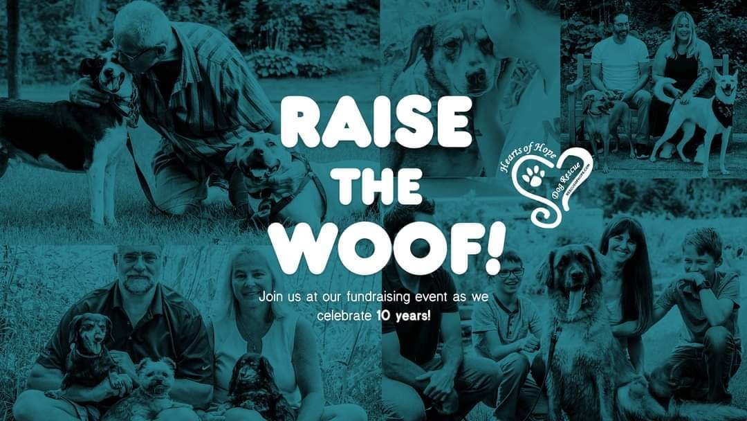 Ready for a fun night out with an auction, live music, and DOGS!! Come join us November 12 to celebrate 10 years of saving lives!  TEN YEARS!!! Bonus - Your ticket lets us save even more! 

Get your tickets at the link in our bio and celebrate with us! 

And a huge thank you our dog loving friends at @sectionlive  for very generously gifting us the use of their space! 

<a target='_blank' href='https://www.instagram.com/explore/tags/auction/'>#auction</a> <a target='_blank' href='https://www.instagram.com/explore/tags/dogsofgrandrapids/'>#dogsofgrandrapids</a> <a target='_blank' href='https://www.instagram.com/explore/tags/10yearanniversary/'>#10yearanniversary</a> <a target='_blank' href='https://www.instagram.com/explore/tags/savinglives/'>#savinglives</a> <a target='_blank' href='https://www.instagram.com/explore/tags/fundraiser/'>#fundraiser</a> <a target='_blank' href='https://www.instagram.com/explore/tags/adoptfosterdonate/'>#adoptfosterdonate</a> <a target='_blank' href='https://www.instagram.com/explore/tags/untiltherearenone/'>#untiltherearenone</a>