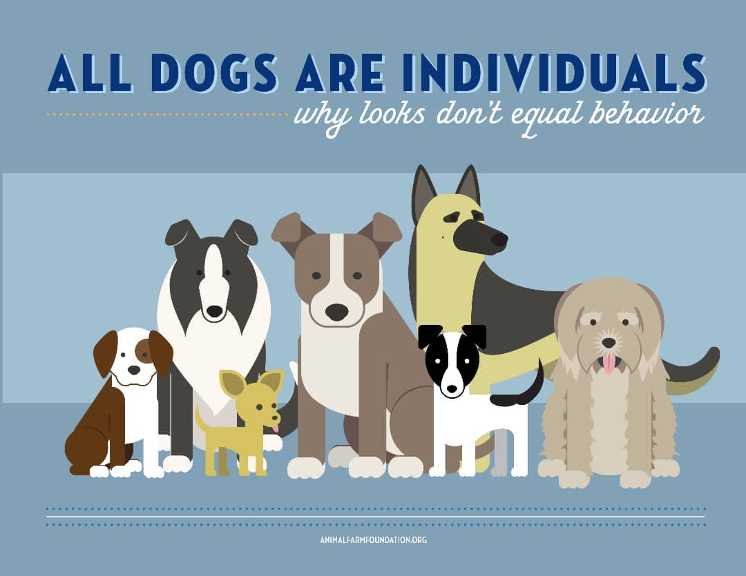 🐶🐕🐩🐺Love all equally -  that's it, that's the message.
.
<a target='_blank' href='https://www.instagram.com/explore/tags/texomadogranch/'>#texomadogranch</a> <a target='_blank' href='https://www.instagram.com/explore/tags/denison/'>#denison</a> <a target='_blank' href='https://www.instagram.com/explore/tags/denisontx/'>#denisontx</a> <a target='_blank' href='https://www.instagram.com/explore/tags/denisontexas/'>#denisontexas</a> <a target='_blank' href='https://www.instagram.com/explore/tags/texas/'>#texas</a> <a target='_blank' href='https://www.instagram.com/explore/tags/dogs/'>#dogs</a> <a target='_blank' href='https://www.instagram.com/explore/tags/dog/'>#dog</a> <a target='_blank' href='https://www.instagram.com/explore/tags/rescues/'>#rescues</a> <a target='_blank' href='https://www.instagram.com/explore/tags/adoptdontshop/'>#adoptdontshop</a> <a target='_blank' href='https://www.instagram.com/explore/tags/art/'>#art</a> <a target='_blank' href='https://www.instagram.com/explore/tags/infographic/'>#infographic</a>