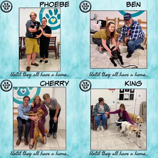 It’s HAPPY TAILS time!!! This week we had 1️⃣5️⃣ adoptions because our team is awesome!! 

🐾Clyde (now Sam) 
🐾Brandy 
🐾Dixie 
🐾Bonnie (now Fig)
🐾Phoebe (keeping name)
🐾Ben (now Jasper) 
🐾Cherry (now Izzy)
🐾King (keeping name)
🐾Mika 
🐾Misty (keeping name)
🐾Griffin 
🐾Suzzie (now Roxy) 
🐾Pumpkin Butter (now Lola) 
🐾Beau 
🐾Catoe 

Thank you everyone! Have a great week!