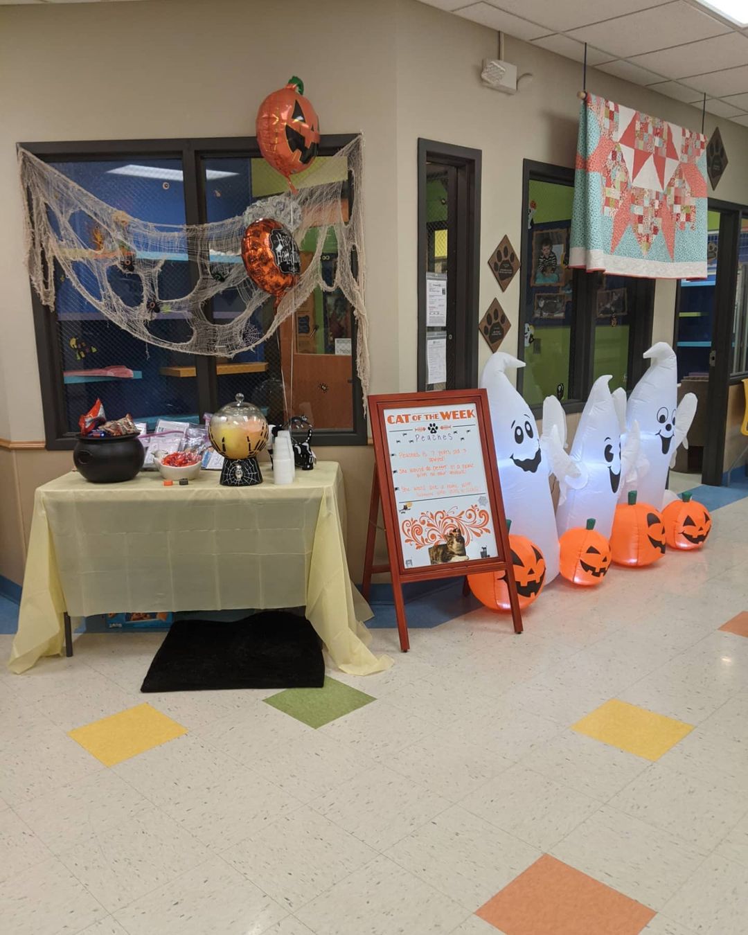 HAPPY HALLOWEEN FROM THE SIOUXLAND HUMANE SOCIETY! Today is our Halloween event down at our facility. There are snacks, punch, pumpkin painting for the kiddos, and a costume contest for humans AND your pets! We're gonna have loads of fun today and we would love to have you join. Bring the whole family down for some halloween festivities and maybe you'll even meet your new best friend while you're here. Come down and we'll show you a SPOOKY good time!

<a target='_blank' href='https://www.instagram.com/explore/tags/happyhalloween/'>#happyhalloween</a>
<a target='_blank' href='https://www.instagram.com/explore/tags/halloween2021/'>#halloween2021</a>
<a target='_blank' href='https://www.instagram.com/explore/tags/shelterlove/'>#shelterlove</a> 
<a target='_blank' href='https://www.instagram.com/explore/tags/spookyseason/'>#spookyseason</a>
<a target='_blank' href='https://www.instagram.com/explore/tags/monstermash/'>#monstermash</a>
<a target='_blank' href='https://www.instagram.com/explore/tags/creepycats/'>#creepycats</a>
<a target='_blank' href='https://www.instagram.com/explore/tags/dauntingdogs/'>#dauntingdogs</a>