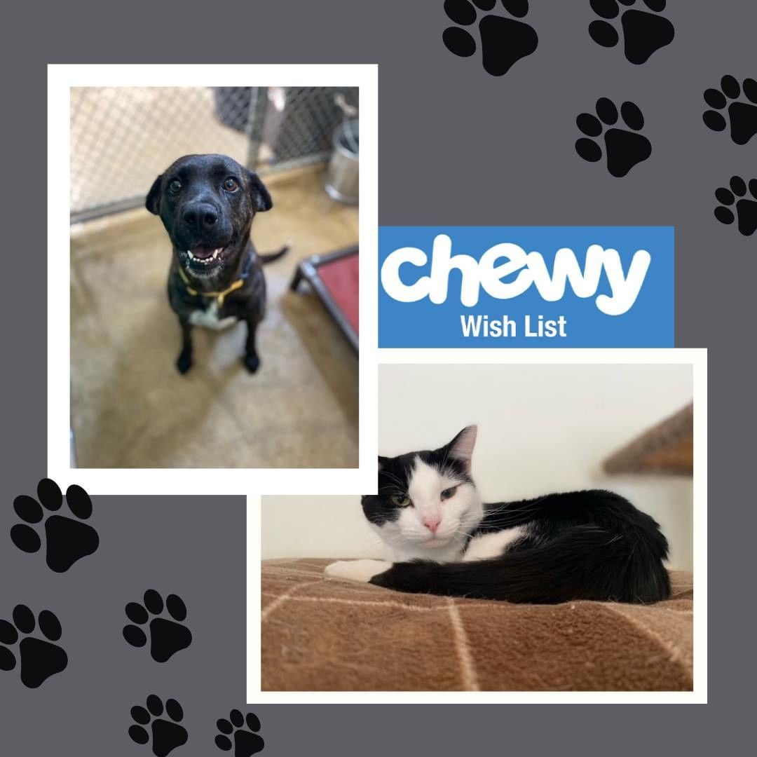 Happy <a target='_blank' href='https://www.instagram.com/explore/tags/WishListWednesday/'>#WishListWednesday</a> ! 

If you would like to help donate items to our shelter, here is our chewy wishlist: https://www.chewy.com/g/centralia-humane-society_b71440934

The items we need most are marked as 