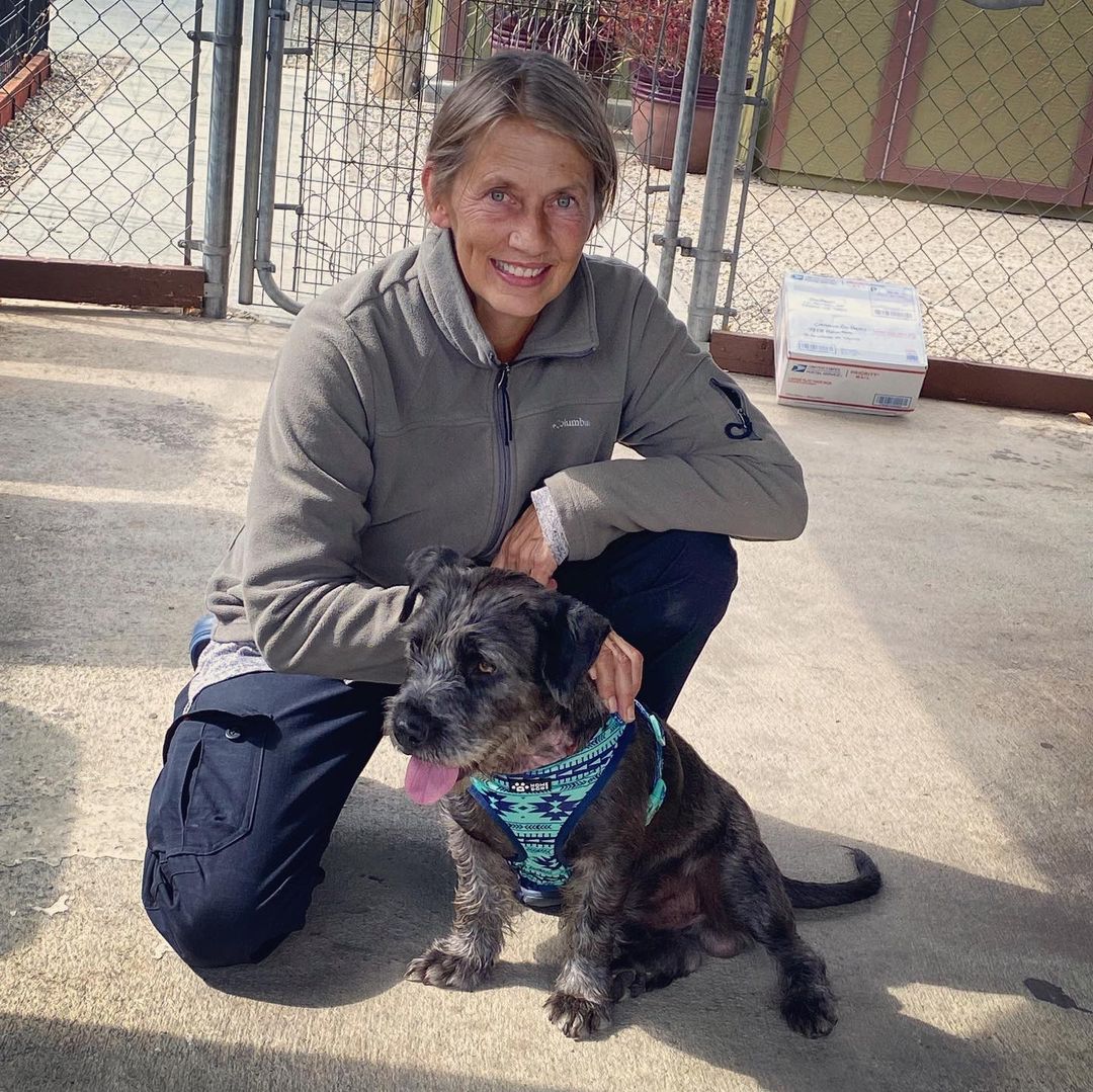 Welcome BOWSER! This happy, energetic pup has been horribly abused — swipe to see injuries on his neck from an embedded e-collar (electronic shock collar). 🤬 Anyone who says it’s “just a vibration” is wrong — e-collars are shock collars and can literally burn the dog.
—
So when no other rescue took him after the shelter’s callout, we said yes. Thank you @jcnash1962 for driving him to us, and @jubious.ch for fostering.
—
1yr 31lbs schnauzer mix(?). He will be seen by a vet and neutered. We will give him time to recover, settle, and start to show us who he is and what he needs, and then he will be available to adopt.
—
<a target='_blank' href='https://www.instagram.com/explore/tags/schnauzermix/'>#schnauzermix</a> <a target='_blank' href='https://www.instagram.com/explore/tags/rescuedog/'>#rescuedog</a> <a target='_blank' href='https://www.instagram.com/explore/tags/abuseddog/'>#abuseddog</a> <a target='_blank' href='https://www.instagram.com/explore/tags/dogrescue/'>#dogrescue</a> <a target='_blank' href='https://www.instagram.com/explore/tags/morethanadogrescue/'>#morethanadogrescue</a> <a target='_blank' href='https://www.instagram.com/explore/tags/adoptdontshop/'>#adoptdontshop</a> <a target='_blank' href='https://www.instagram.com/explore/tags/cutedog/'>#cutedog</a> <a target='_blank' href='https://www.instagram.com/explore/tags/dog/'>#dog</a> <a target='_blank' href='https://www.instagram.com/explore/tags/doglovers/'>#doglovers</a> <a target='_blank' href='https://www.instagram.com/explore/tags/fosterdog/'>#fosterdog</a>