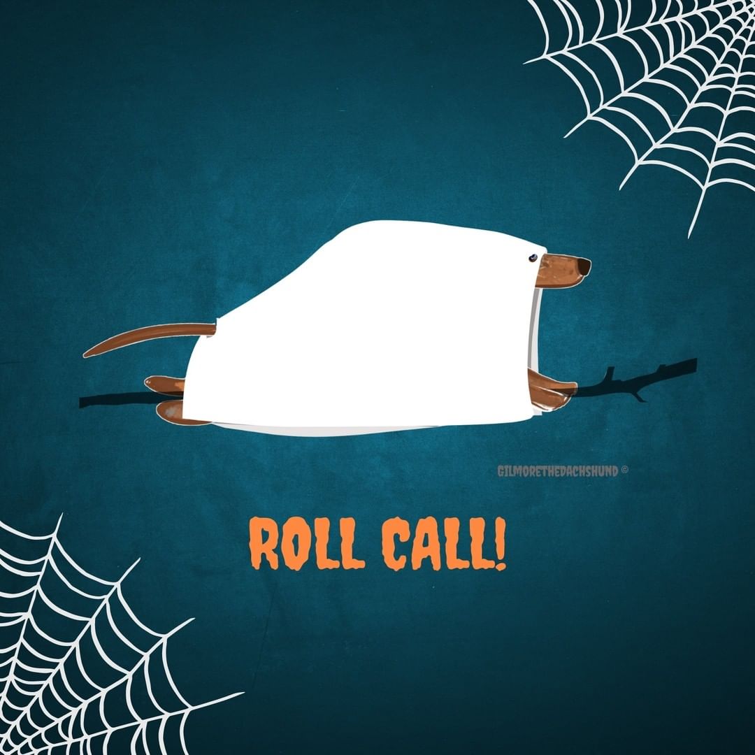 ROLL CALL! @gilmorethedachshund and KDR want to extend a warm welcome to all the weens that have joined so far - check out these cuties:

1. Li'l Sebastian - if you're a Parks and Rec fan - wow, you will not be disappointed - his bio is 🔥🔥 🤣

2. Hank the Bee - need we say more? Hank is BEE-yond adorable! 🥺🐝🐝💛

3. Rocky - a murderous Chucky doll - with a rather poignant statement: 