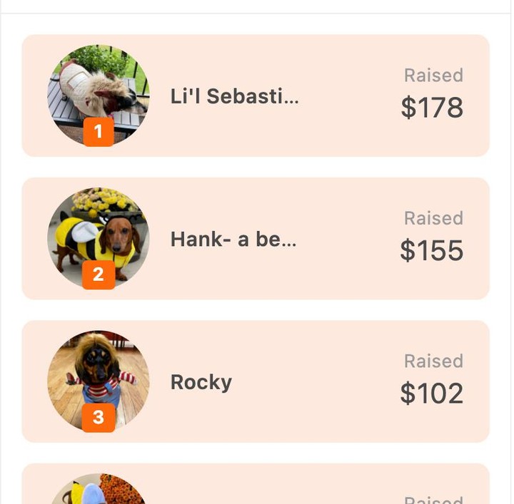 ROLL CALL! @gilmorethedachshund and KDR want to extend a warm welcome to all the weens that have joined so far - check out these cuties:

1. Li'l Sebastian - if you're a Parks and Rec fan - wow, you will not be disappointed - his bio is 🔥🔥 🤣

2. Hank the Bee - need we say more? Hank is BEE-yond adorable! 🥺🐝🐝💛

3. Rocky - a murderous Chucky doll - with a rather poignant statement: 