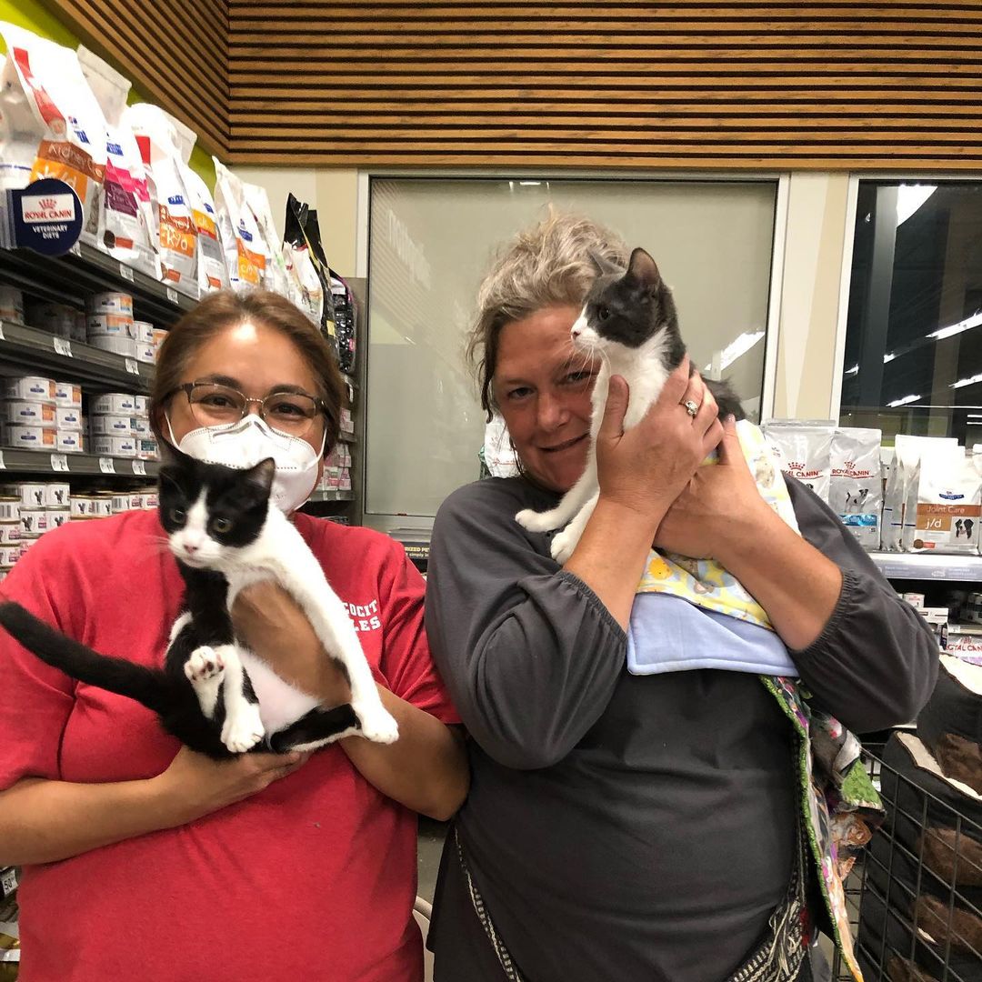 Big smiles! Daisy and Miss Mario’s new family discovered love at Petco today! 🐾🐾💗 Thank you, @PetcoLove, for helping us continue to help animals in need, and find loving forever homes for so many! <a target='_blank' href='https://www.instagram.com/explore/tags/PetcoFamily/'>#PetcoFamily</a> <a target='_blank' href='https://www.instagram.com/explore/tags/PetcoLove/'>#PetcoLove</a> <a target='_blank' href='https://www.instagram.com/explore/tags/PetcoAtascocita/'>#PetcoAtascocita</a> <a target='_blank' href='https://www.instagram.com/explore/tags/ThinkAdoptionFirst/'>#ThinkAdoptionFirst</a> <a target='_blank' href='https://www.instagram.com/explore/tags/LMNFelineRescue/'>#LMNFelineRescue</a> <a target='_blank' href='https://www.instagram.com/explore/tags/FosteringSavesLives/'>#FosteringSavesLives</a>❤️ <a target='_blank' href='https://www.instagram.com/explore/tags/BeAFoster/'>#BeAFoster</a> <a target='_blank' href='https://www.instagram.com/explore/tags/AdoptDontShop/'>#AdoptDontShop</a>🐾 <a target='_blank' href='https://www.instagram.com/explore/tags/AdoptionDay/'>#AdoptionDay</a>