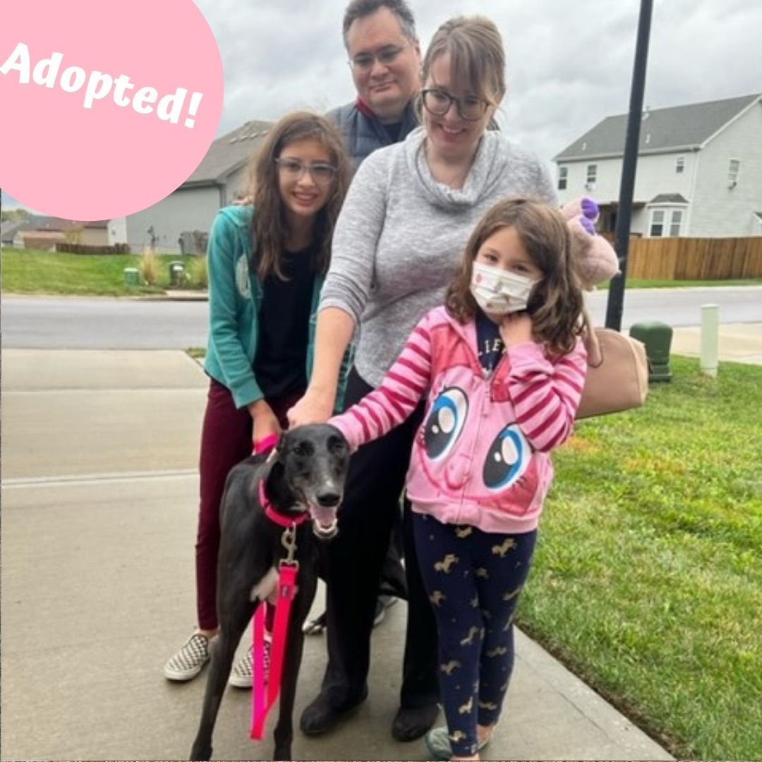 The Bramon Wong family has given Luna a new home! We hear she is already settling in excellently!