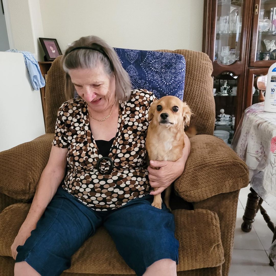 We’re loving this cutie lil pupdate! ⁣
⁣
Moana was surrendered to our shelter and was such a lucky little girl to find herself in the loving arms of her new family when she was adopted in September…⁣
⁣
“She is an amazing little girl and has made my aunt so very happy. She is doing great and is so happy. ⁣
⁣
She had her first salon appointment, got a lavender bath which she loved and her nails and hair done! 💅 🛁 🐾⁣
⁣
She has officially become my aunt’s shadow, following her from room to room. She even met some of her other doggie relatives. She was a bit unsure of them at first but eventually was running around and playing with them like she’s known them forever! We wanted to thank everyone at Nevada SPCA for taking such good care of her while she was with you and for all the help you gave us that day.” ❤️
•⁣
•⁣
•⁣
<a target='_blank' href='https://www.instagram.com/explore/tags/findhappiness/'>#findhappiness</a> <a target='_blank' href='https://www.instagram.com/explore/tags/opttoadopt/'>#opttoadopt</a> <a target='_blank' href='https://www.instagram.com/explore/tags/happytails/'>#happytails</a> <a target='_blank' href='https://www.instagram.com/explore/tags/adoptashelterdog/'>#adoptashelterdog</a> <a target='_blank' href='https://www.instagram.com/explore/tags/shelterdog/'>#shelterdog</a> <a target='_blank' href='https://www.instagram.com/explore/tags/shelterdogsofinstagram/'>#shelterdogsofinstagram</a> <a target='_blank' href='https://www.instagram.com/explore/tags/rescuedismyfavoritebreed/'>#rescuedismyfavoritebreed</a> <a target='_blank' href='https://www.instagram.com/explore/tags/pupdate/'>#pupdate</a> <a target='_blank' href='https://www.instagram.com/explore/tags/lasvegas/'>#lasvegas</a> <a target='_blank' href='https://www.instagram.com/explore/tags/vegas/'>#vegas</a> <a target='_blank' href='https://www.instagram.com/explore/tags/spca/'>#spca</a> <a target='_blank' href='https://www.instagram.com/explore/tags/nevadaspca/'>#nevadaspca</a>