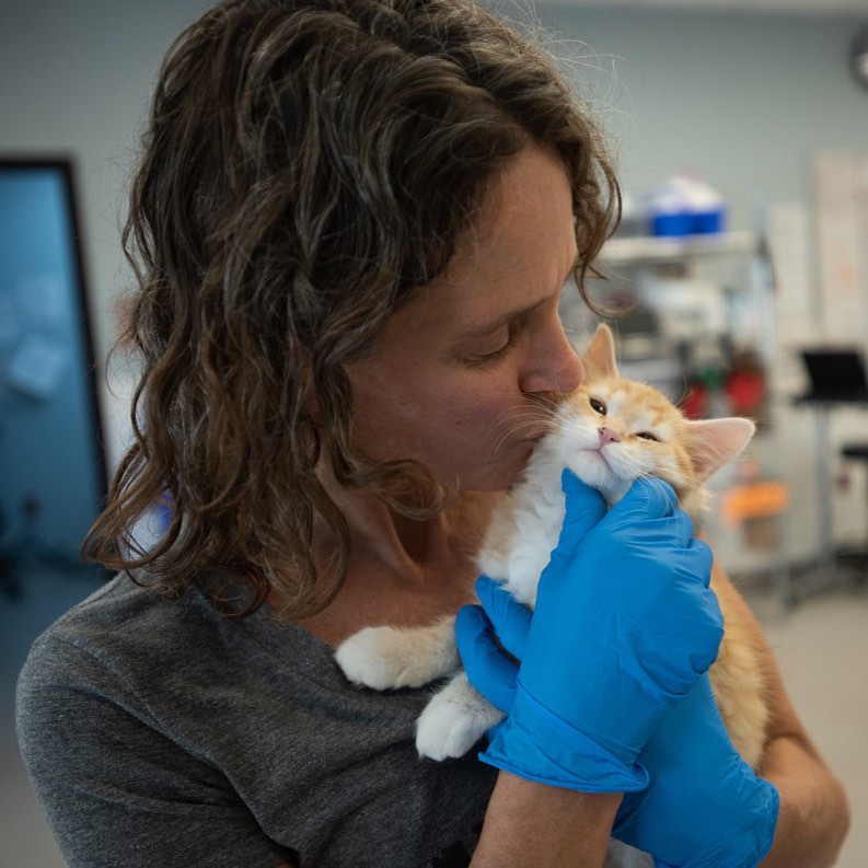 Best Friends Salt Lake City is looking for volunteers ⭐ to help with our lifesaving programs! 

Right now, we are looking for volunteers to assist with our surgery 🐕 days, Tuesdays and Saturdays from 3-5pm. This is a great opportunity for those interested in pursuing a career as a veterinary technician or someone just interested in learning technical skills. Our staff will train you during your first shift. 

To learn more and sign up for all volunteer opportunities, visit Bit.ly/BFSLCVolunteer or DM us for a link. 

Questions? Reach out directly to utahvolunteer@bestfriends.org. 

<a target='_blank' href='https://www.instagram.com/explore/tags/SaveThemAll/'>#SaveThemAll</a> <a target='_blank' href='https://www.instagram.com/explore/tags/BestFriendsAnimalSociety/'>#BestFriendsAnimalSociety</a> <a target='_blank' href='https://www.instagram.com/explore/tags/BestFriendsSLC/'>#BestFriendsSLC</a> <a target='_blank' href='https://www.instagram.com/explore/tags/BestFriendsUtah/'>#BestFriendsUtah</a> <a target='_blank' href='https://www.instagram.com/explore/tags/volunteer/'>#volunteer</a> <a target='_blank' href='https://www.instagram.com/explore/tags/SLC/'>#SLC</a> <a target='_blank' href='https://www.instagram.com/explore/tags/Utah/'>#Utah</a> <a target='_blank' href='https://www.instagram.com/explore/tags/volunteerpowered/'>#volunteerpowered</a> <a target='_blank' href='https://www.instagram.com/explore/tags/NKUT/'>#NKUT</a>