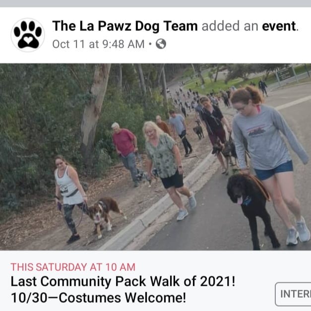 Halloween pack walk this Saturday 10 am at Laguna Niguel Reginal park. We meet behind whole foods. Last one for 2021. Costumes welcomed. Hope to see you there!