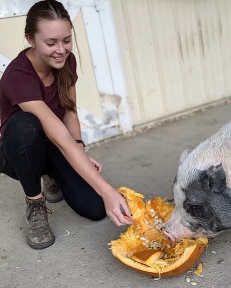 Today’s People or Wayward is caretaker Hailey ! 
Hailey possesses the unique ability to make even the most timid animals feel at ease. Her commitment to our animals and the ranch far exceeds the boundaries of her job description. She has put in countless hours at the farm -in stalls, paddocks, crates (the list goes on) to care for and socialize some of our toughest cases. 
Thank you Hailey for everything you do, the animals and the people of wayward appreciate you ! <a target='_blank' href='https://www.instagram.com/explore/tags/waywardranchanimalsanctuary/'>#waywardranchanimalsanctuary</a> <a target='_blank' href='https://www.instagram.com/explore/tags/hailey/'>#hailey</a>