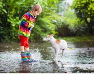 It's a rainy Sunday afternoon and Hood River Adopt a Dog's 2022 It's A Dog's Life calendar release event ends in less than 4 hours! 

Between now and 6:00 PM we're offering you some very special 