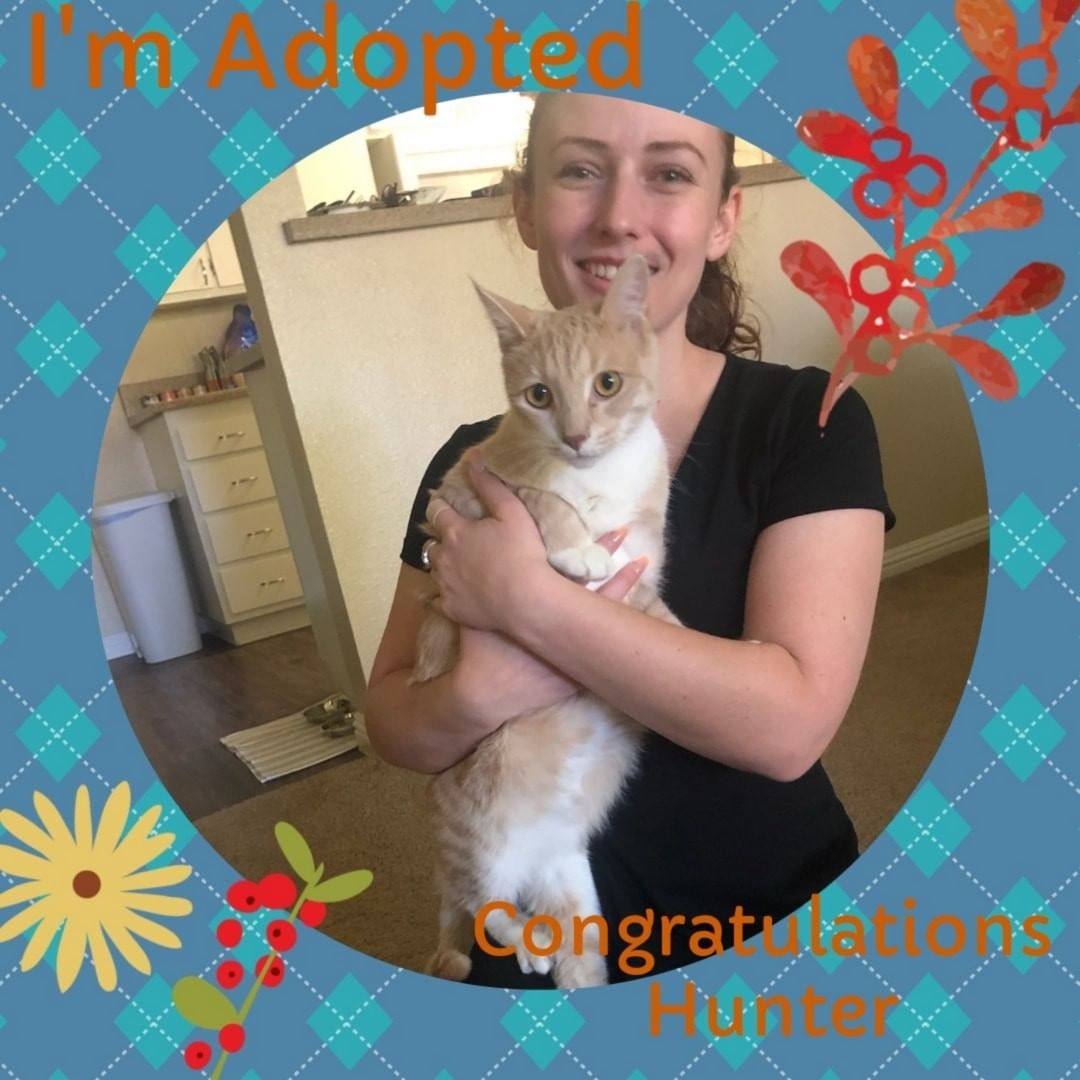 ADOPTION ALERT- Congratulations Hunter. It took us along time, with some challenges, but we think this is the perfect home for Hunter. <a target='_blank' href='https://www.instagram.com/explore/tags/worththewait/'>#worththewait</a> <a target='_blank' href='https://www.instagram.com/explore/tags/therighthomeisoutthere/'>#therighthomeisoutthere</a> <a target='_blank' href='https://www.instagram.com/explore/tags/iadopted/'>#iadopted</a> <a target='_blank' href='https://www.instagram.com/explore/tags/petsmartcharities/'>#petsmartcharities</a> <a target='_blank' href='https://www.instagram.com/explore/tags/petsmart_aliso_viejo/'>#petsmart_aliso_viejo</a> <a target='_blank' href='https://www.instagram.com/explore/tags/lifeatpetsmart/'>#lifeatpetsmart</a>