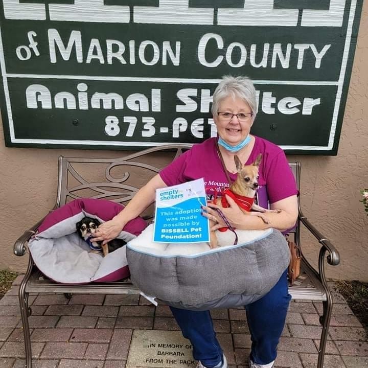 We were very fortunate to be part of the <a target='_blank' href='https://www.instagram.com/explore/tags/BissellPetFoundation/'>#BissellPetFoundation</a> Empty the Shelters event from October 4th-October 10th! Many of our furbabies got into their forever, loving homes! Thank you to everyone who shared, applied, and commented - all the support is greatly appreciated!

🐾Thank you BISSELL Pet Foundation for sponsoring this pawsome event!🐾

<a target='_blank' href='https://www.instagram.com/explore/tags/bissellpetfoundation/'>#bissellpetfoundation</a> <a target='_blank' href='https://www.instagram.com/explore/tags/bissell/'>#bissell</a> <a target='_blank' href='https://www.instagram.com/explore/tags/Ocala/'>#Ocala</a> <a target='_blank' href='https://www.instagram.com/explore/tags/Florida/'>#Florida</a> <a target='_blank' href='https://www.instagram.com/explore/tags/HumaneSocietyofMarionCounty/'>#HumaneSocietyofMarionCounty</a> <a target='_blank' href='https://www.instagram.com/explore/tags/MarionCounty/'>#MarionCounty</a> <a target='_blank' href='https://www.instagram.com/explore/tags/dogloversofinstagram/'>#dogloversofinstagram</a>💕🐾💕💕💕 <a target='_blank' href='https://www.instagram.com/explore/tags/catlovers/'>#catlovers</a>😻 <a target='_blank' href='https://www.instagram.com/explore/tags/dogs/'>#dogs</a>🐶 <a target='_blank' href='https://www.instagram.com/explore/tags/cats/'>#cats</a>🐱 <a target='_blank' href='https://www.instagram.com/explore/tags/instapup/'>#instapup</a> <a target='_blank' href='https://www.instagram.com/explore/tags/instakitties/'>#instakitties</a> <a target='_blank' href='https://www.instagram.com/explore/tags/EmptytheShelters/'>#EmptytheShelters</a> <a target='_blank' href='https://www.instagram.com/explore/tags/emptytheshelters/'>#emptytheshelters</a>🐾 <a target='_blank' href='https://www.instagram.com/explore/tags/adoptlove/'>#adoptlove</a> <a target='_blank' href='https://www.instagram.com/explore/tags/adoptdontshop/'>#adoptdontshop</a>🐾 <a target='_blank' href='https://www.instagram.com/explore/tags/thankful/'>#thankful</a> <a target='_blank' href='https://www.instagram.com/explore/tags/ThankYou/'>#ThankYou</a>