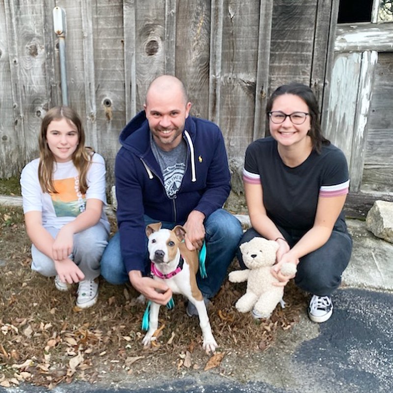 Ginger now Lola is home! The last of the 4 pups we helped from the @arlboston case with 20 puppies, they all found amazing homes and will never be neglected again! Ginger was first fostered by Jacqui & Kevin, and then by Alexa where she got to attend daycare at @clarksdog_kennel. This sweet gal is living the good life with new parents Marc & Debbie. Congrats Lola!