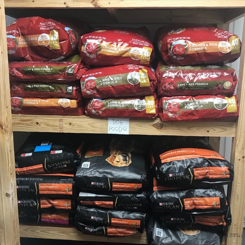 Holy Cow! Last week we shared that we were in need of adult dog kibble and WOW did you make it happen! We received an incredible outpouring of donations and our doggos' bellies are sure to be filled for a long time. Thank you SO MUCH to everyone who donated! It's only because of YOU that we are able to save lives every single day!⠀
⠀
<a target='_blank' href='https://www.instagram.com/explore/tags/houstonpetsalive/'>#houstonpetsalive</a> <a target='_blank' href='https://www.instagram.com/explore/tags/thankyou/'>#thankyou</a> <a target='_blank' href='https://www.instagram.com/explore/tags/thanks/'>#thanks</a> <a target='_blank' href='https://www.instagram.com/explore/tags/grateful/'>#grateful</a> <a target='_blank' href='https://www.instagram.com/explore/tags/thankful/'>#thankful</a> <a target='_blank' href='https://www.instagram.com/explore/tags/donation/'>#donation</a> <a target='_blank' href='https://www.instagram.com/explore/tags/donations/'>#donations</a> <a target='_blank' href='https://www.instagram.com/explore/tags/donate/'>#donate</a> <a target='_blank' href='https://www.instagram.com/explore/tags/ittakesavillage/'>#ittakesavillage</a> <a target='_blank' href='https://www.instagram.com/explore/tags/purinaone/'>#purinaone</a> <a target='_blank' href='https://www.instagram.com/explore/tags/purinaproplan/'>#purinaproplan</a> <a target='_blank' href='https://www.instagram.com/explore/tags/dog/'>#dog</a> <a target='_blank' href='https://www.instagram.com/explore/tags/dogs/'>#dogs</a> <a target='_blank' href='https://www.instagram.com/explore/tags/dogsofinstagram/'>#dogsofinstagram</a> <a target='_blank' href='https://www.instagram.com/explore/tags/dogs_of_instagram/'>#dogs_of_instagram</a> <a target='_blank' href='https://www.instagram.com/explore/tags/doggo/'>#doggo</a> <a target='_blank' href='https://www.instagram.com/explore/tags/doggos/'>#doggos</a> <a target='_blank' href='https://www.instagram.com/explore/tags/rescue/'>#rescue</a> <a target='_blank' href='https://www.instagram.com/explore/tags/rescuedog/'>#rescuedog</a> <a target='_blank' href='https://www.instagram.com/explore/tags/rescueismyfavoritebreed/'>#rescueismyfavoritebreed</a> <a target='_blank' href='https://www.instagram.com/explore/tags/rescuepup/'>#rescuepup</a> <a target='_blank' href='https://www.instagram.com/explore/tags/rescuedoggo/'>#rescuedoggo</a> <a target='_blank' href='https://www.instagram.com/explore/tags/saveadog/'>#saveadog</a> <a target='_blank' href='https://www.instagram.com/explore/tags/saveapup/'>#saveapup</a> <a target='_blank' href='https://www.instagram.com/explore/tags/houston/'>#houston</a> <a target='_blank' href='https://www.instagram.com/explore/tags/htx/'>#htx</a> <a target='_blank' href='https://www.instagram.com/explore/tags/houstonrescue/'>#houstonrescue</a> <a target='_blank' href='https://www.instagram.com/explore/tags/donatehouston/'>#donatehouston</a> <a target='_blank' href='https://www.instagram.com/explore/tags/thankyouhouston/'>#thankyouhouston</a> <a target='_blank' href='https://www.instagram.com/explore/tags/thankyousomuch/'>#thankyousomuch</a>