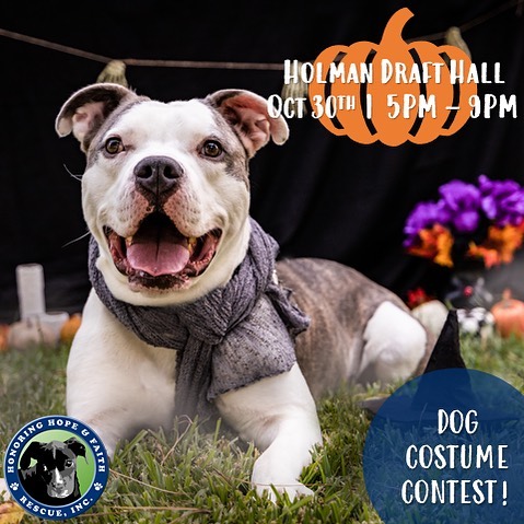 Bring your pups out this Saturday to @holmandrafthall_htx for the dog costume contest! $5 to enter and the judging is at 7pm. All proceeds support the rescue. Looking forward to seeing all the costumes! <a target='_blank' href='https://www.instagram.com/explore/tags/hhfr/'>#hhfr</a> <a target='_blank' href='https://www.instagram.com/explore/tags/dogcostumecontest/'>#dogcostumecontest</a> <a target='_blank' href='https://www.instagram.com/explore/tags/fundraiser/'>#fundraiser</a> <a target='_blank' href='https://www.instagram.com/explore/tags/holmandrafthall/'>#holmandrafthall</a> <a target='_blank' href='https://www.instagram.com/explore/tags/Houston/'>#Houston</a>