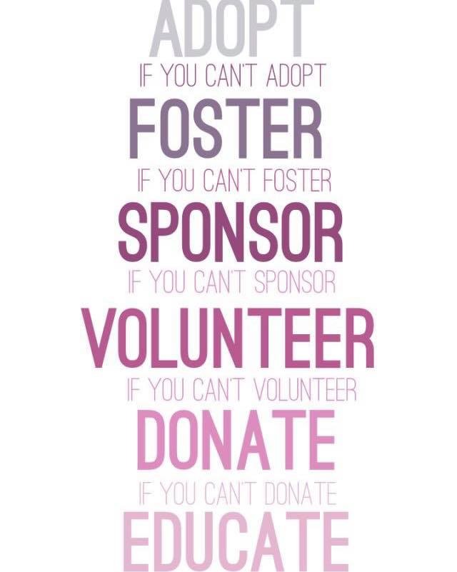 ❤️🐾This is Clint and Hannah.. New to our Rescue.. beautiful and young. 
TODAY WAS SPAY AND NEUTER DAY
It’s what we do as soon as possible with our new dogs.. Would love some help with the vetting of anyone would like to help sponsor. 
PayPal, Venmo, or the link..
Thank you!! 
BellesBudsRescue.org