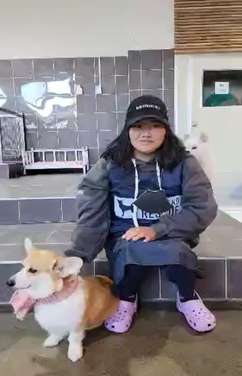 Our founder Gina is at our Bundang facility in Korea, where there are currently 95 dogs waiting to come to the U.S. and find their forever homes. Check out our Stories today for a closer look at the facility, and please ask your friends and family to donate to your walk so KK9R can thrive in Bundang!

Also, stay tuned as we return to Aerinwon in a few days to help the remaining dogs left there.