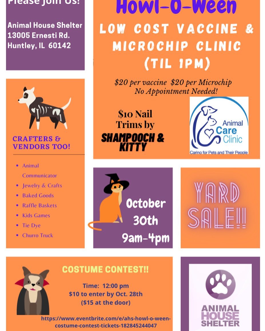 www.animalhouseshelter.com

2 MORE DAYS!  HOPE TO SEE EVERYONE THIS SATURDAY AT ANIMAL HOUSE SHELTER'S HOWL-O-WEEN FESTIVAL! 

COSTUME CONTEST SIGN-UP HERE:
https://www.eventbrite.com/e/ahs-howl-o-ween-costume-contest-tickets-182845244047

.
.
. 
Volunteer here: https://www.animalhouseshelter.com/volunteer/
Donate here: https://www.animalhouseshelter.com/donate-now/
How to Foster: https://www.animalhouseshelter.com/foster/
Application to Adopt: https://www.animalhouseshelter.com/adoption-application/
How to Adopt: https://www.animalhouseshelter.com/adopt/
Adoptable Dogs: https://www.animalhouseshelter.com/dogs/
Adoptable Cats: https://www.animalhouseshelter.com/cats/
Volunteering: https://www.animalhouseshelter.com/volunteer/
Amazon wish list: https://www.amazon.com/.../3NLUPIBFE.../ref=cm_wl_rlist_go_o?
Wishlist: https://www.animalhouseshelter.com/wish-list/
<a target='_blank' href='https://www.instagram.com/explore/tags/loveisrescued/'>#loveisrescued</a> <a target='_blank' href='https://www.instagram.com/explore/tags/adoptdontshop/'>#adoptdontshop</a>
<a target='_blank' href='https://www.instagram.com/explore/tags/adoptme/'>#adoptme</a> <a target='_blank' href='https://www.instagram.com/explore/tags/animalhouseshelterhuntley/'>#animalhouseshelterhuntley</a> <a target='_blank' href='https://www.instagram.com/explore/tags/huntleyanimalshelter/'>#huntleyanimalshelter</a>
<a target='_blank' href='https://www.instagram.com/explore/tags/animalrescue/'>#animalrescue</a> <a target='_blank' href='https://www.instagram.com/explore/tags/adoptabledogs/'>#adoptabledogs</a> <a target='_blank' href='https://www.instagram.com/explore/tags/rescue/'>#rescue</a> <a target='_blank' href='https://www.instagram.com/explore/tags/dogs/'>#dogs</a> <a target='_blank' href='https://www.instagram.com/explore/tags/cats/'>#cats</a> <a target='_blank' href='https://www.instagram.com/explore/tags/nokill/'>#nokill</a> <a target='_blank' href='https://www.instagram.com/explore/tags/charity/'>#charity</a> <a target='_blank' href='https://www.instagram.com/explore/tags/nonprofit/'>#nonprofit</a> <a target='_blank' href='https://www.instagram.com/explore/tags/animalshelter/'>#animalshelter</a> <a target='_blank' href='https://www.instagram.com/explore/tags/shelter/'>#shelter</a> <a target='_blank' href='https://www.instagram.com/explore/tags/animals/'>#animals</a> <a target='_blank' href='https://www.instagram.com/explore/tags/adopt/'>#adopt</a> <a target='_blank' href='https://www.instagram.com/explore/tags/foster/'>#foster</a> <a target='_blank' href='https://www.instagram.com/explore/tags/volunteer/'>#volunteer</a> <a target='_blank' href='https://www.instagram.com/explore/tags/donate/'>#donate</a> <a target='_blank' href='https://www.instagram.com/explore/tags/fundraiser/'>#fundraiser</a> <a target='_blank' href='https://www.instagram.com/explore/tags/event/'>#event</a> <a target='_blank' href='https://www.instagram.com/explore/tags/fundraising/'>#fundraising</a> <a target='_blank' href='https://www.instagram.com/explore/tags/donations/'>#donations</a> <a target='_blank' href='https://www.instagram.com/explore/tags/savealife/'>#savealife</a> <a target='_blank' href='https://www.instagram.com/explore/tags/humanesociety/'>#humanesociety</a> <a target='_blank' href='https://www.instagram.com/explore/tags/homeless/'>#homeless</a>