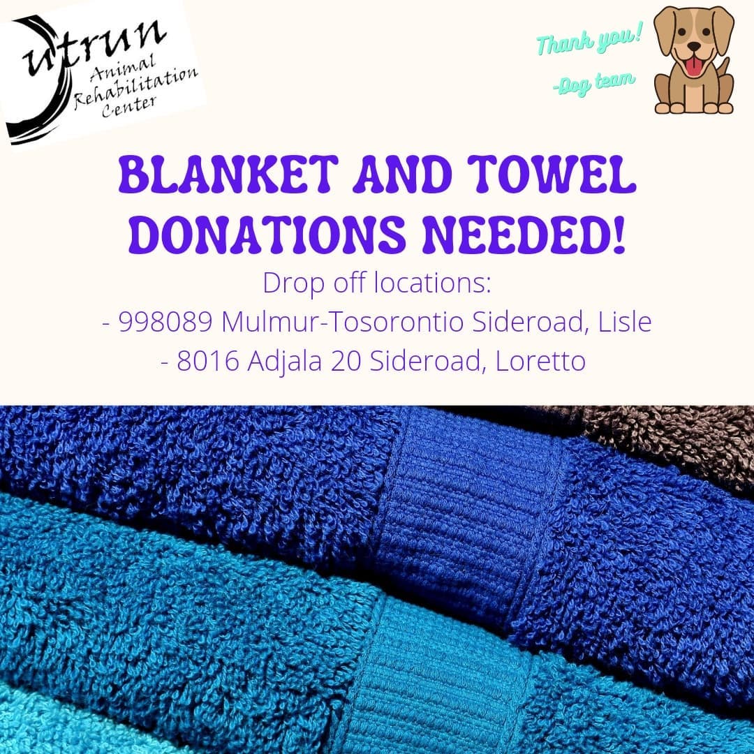 Our dog team is in need of blankets and towels! We accept used or new blankets and towels. 

Porch drop off locations: 
1. 998089 Mulmur-Tosotontio Sideroad, Lisle
2. 8016 Adjala 20 Sideroad, Loretto 

<a target='_blank' href='https://www.instagram.com/explore/tags/outrunaninalrehabilitationcenter/'>#outrunaninalrehabilitationcenter</a> <a target='_blank' href='https://www.instagram.com/explore/tags/outrunrescue/'>#outrunrescue</a> <a target='_blank' href='https://www.instagram.com/explore/tags/donatetoday/'>#donatetoday</a> <a target='_blank' href='https://www.instagram.com/explore/tags/barrieontario/'>#barrieontario</a> <a target='_blank' href='https://www.instagram.com/explore/tags/barrie/'>#barrie</a> <a target='_blank' href='https://www.instagram.com/explore/tags/newtecumseth/'>#newtecumseth</a>