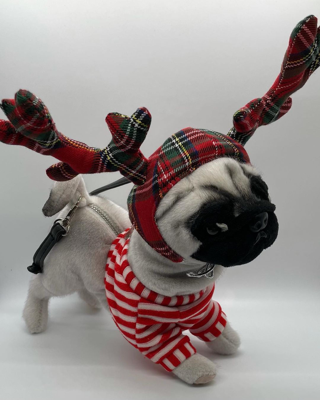 Just added!
This adorable Fuzzy Nation Pugdeer purse is in our mini holiday auction. Link to the Facebook Auction group in our link tree in our bio.
<a target='_blank' href='https://www.instagram.com/explore/tags/pugsofinstagram/'>#pugsofinstagram</a> <a target='_blank' href='https://www.instagram.com/explore/tags/hoildayauction/'>#hoildayauction</a> <a target='_blank' href='https://www.instagram.com/explore/tags/fuzzynation/'>#fuzzynation</a> <a target='_blank' href='https://www.instagram.com/explore/tags/pugpurse/'>#pugpurse</a>