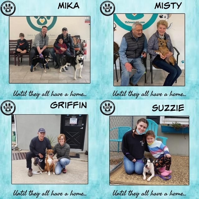 It’s HAPPY TAILS time!!! This week we had 1️⃣5️⃣ adoptions because our team is awesome!! 

🐾Clyde (now Sam) 
🐾Brandy 
🐾Dixie 
🐾Bonnie (now Fig)
🐾Phoebe (keeping name)
🐾Ben (now Jasper) 
🐾Cherry (now Izzy)
🐾King (keeping name)
🐾Mika 
🐾Misty (keeping name)
🐾Griffin 
🐾Suzzie (now Roxy) 
🐾Pumpkin Butter (now Lola) 
🐾Beau 
🐾Catoe 

Thank you everyone! Have a great week!