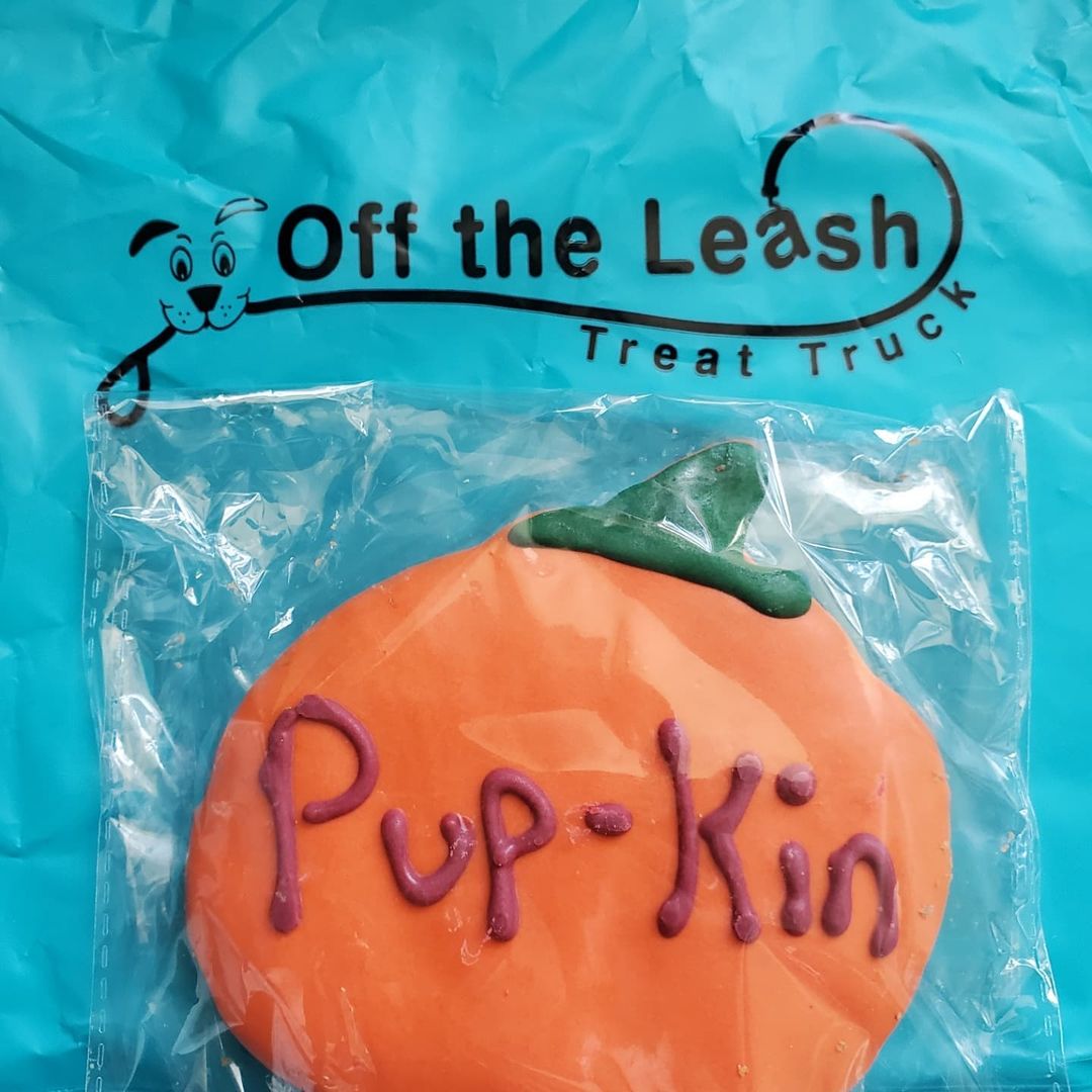 Bear was so excited to eat his Pupkin snack from @off_the_leash_truck that he wouldn't sit still for his picture 🙄😄 <a target='_blank' href='https://www.instagram.com/explore/tags/snacktime/'>#snacktime</a> <a target='_blank' href='https://www.instagram.com/explore/tags/sohungry/'>#sohungry</a> <a target='_blank' href='https://www.instagram.com/explore/tags/wasstarving/'>#wasstarving</a> <a target='_blank' href='https://www.instagram.com/explore/tags/giantdog/'>#giantdog</a> <a target='_blank' href='https://www.instagram.com/explore/tags/arcticspiritrescue/'>#arcticspiritrescue</a> <a target='_blank' href='https://www.instagram.com/explore/tags/adoptdontshop/'>#adoptdontshop</a> <a target='_blank' href='https://www.instagram.com/explore/tags/rescuedog/'>#rescuedog</a> <a target='_blank' href='https://www.instagram.com/explore/tags/rescuedogsofinstagram/'>#rescuedogsofinstagram</a> <a target='_blank' href='https://www.instagram.com/explore/tags/fosteringsaveslives/'>#fosteringsaveslives</a> <a target='_blank' href='https://www.instagram.com/explore/tags/adopt/'>#adopt</a> <a target='_blank' href='https://www.instagram.com/explore/tags/foster/'>#foster</a> <a target='_blank' href='https://www.instagram.com/explore/tags/rescue/'>#rescue</a> <a target='_blank' href='https://www.instagram.com/explore/tags/malamute/'>#malamute</a> <a target='_blank' href='https://www.instagram.com/explore/tags/malamutesofinstagram/'>#malamutesofinstagram</a> <a target='_blank' href='https://www.instagram.com/explore/tags/alaskanmalamute/'>#alaskanmalamute</a> <a target='_blank' href='https://www.instagram.com/explore/tags/alaskanmalamutesofinstagram/'>#alaskanmalamutesofinstagram</a> <a target='_blank' href='https://www.instagram.com/explore/tags/dogsofinstagram/'>#dogsofinstagram</a> <a target='_blank' href='https://www.instagram.com/explore/tags/foodtruck/'>#foodtruck</a> <a target='_blank' href='https://www.instagram.com/explore/tags/dogtreats/'>#dogtreats</a> <a target='_blank' href='https://www.instagram.com/explore/tags/foodtruckfordogs/'>#foodtruckfordogs</a>