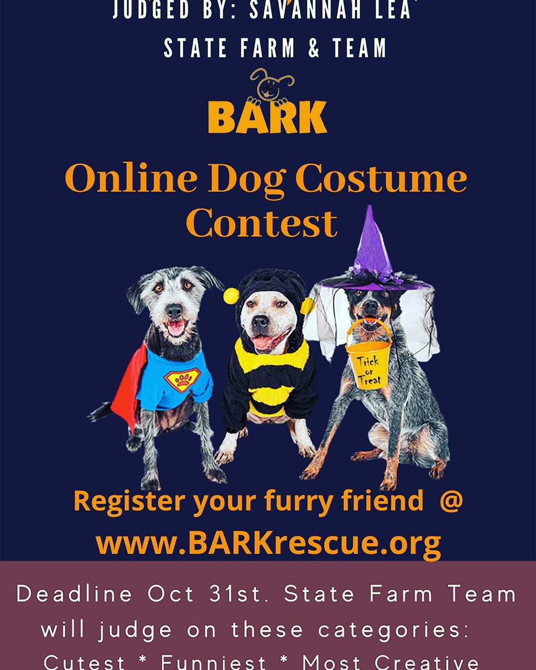 Time is growing short. Don’t forget to enter your dog in the online Halloween costume contest!! You only have until midnight this Saturday on all Hallows Eve.