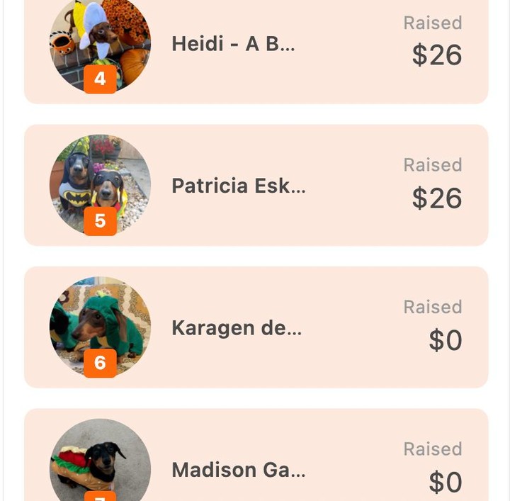 ROLL CALL! @gilmorethedachshund and KDR want to extend a warm welcome to all the weens that have joined so far - check out these cuties:

1. Li'l Sebastian - if you're a Parks and Rec fan - wow, you will not be disappointed - his bio is 🔥🔥 🤣

2. Hank the Bee - need we say more? Hank is BEE-yond adorable! 🥺🐝🐝💛

3. Rocky - a murderous Chucky doll - with a rather poignant statement: 