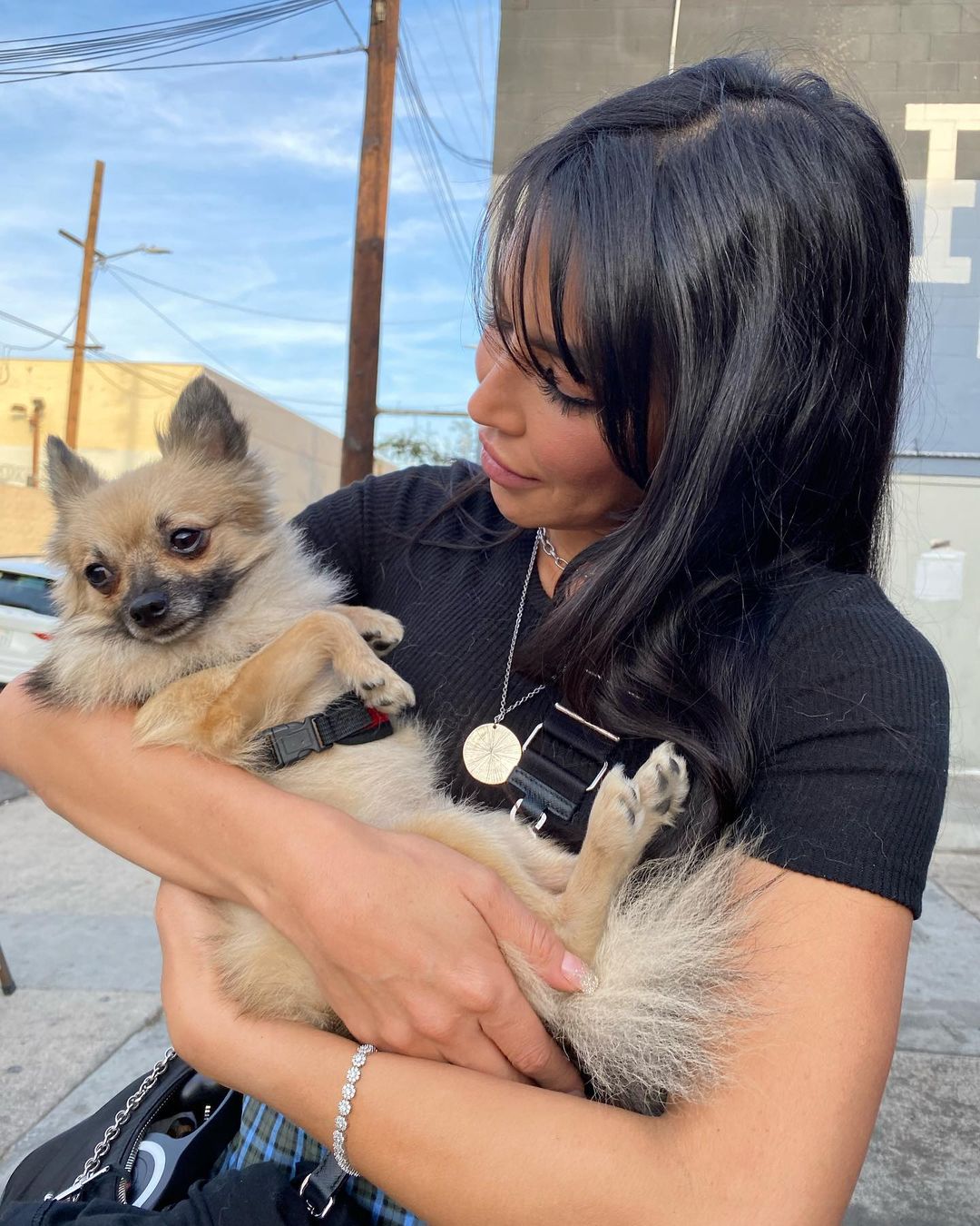 THANK you @boomtownbrewery for hosting our latest dog adoption event!! The costumes were spooky👻, the raffle contest was spine-chilling🎃, and the company was frightening🧟‍♀️ It was pawsitively lovely meeting every single one of you🤍 We cannot wait to do it all over again next month, so stay tuned for future adoption event updates!! In the meantime, check out these amazing pics of our volunteers and doggy guests🐶⚡️