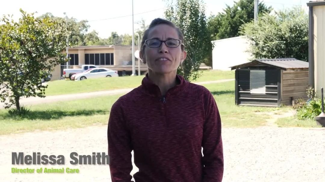 Partnering with the Cleveland & Bradley County Community Foundation to build a new facility and endowment fund allows us to provide the five freedoms of animal welfare to each and every animal who enters our facility.
 
Want to know exactly why we urgently need your gift? Watch our Director of Animal Care Melissa Smith explain exactly that.