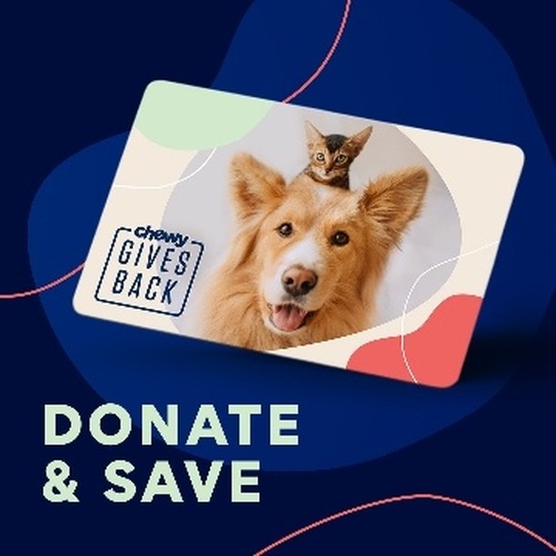 Pets at 🐶Fur Friends 4 Life🐾 need your help! Now until Monday 11/1, your donation dollars can reach even more pets in need with 10% OFF Chewy eGift Cards from our Wish List. Click the link in our bio to check out our Chewy Wishlist.