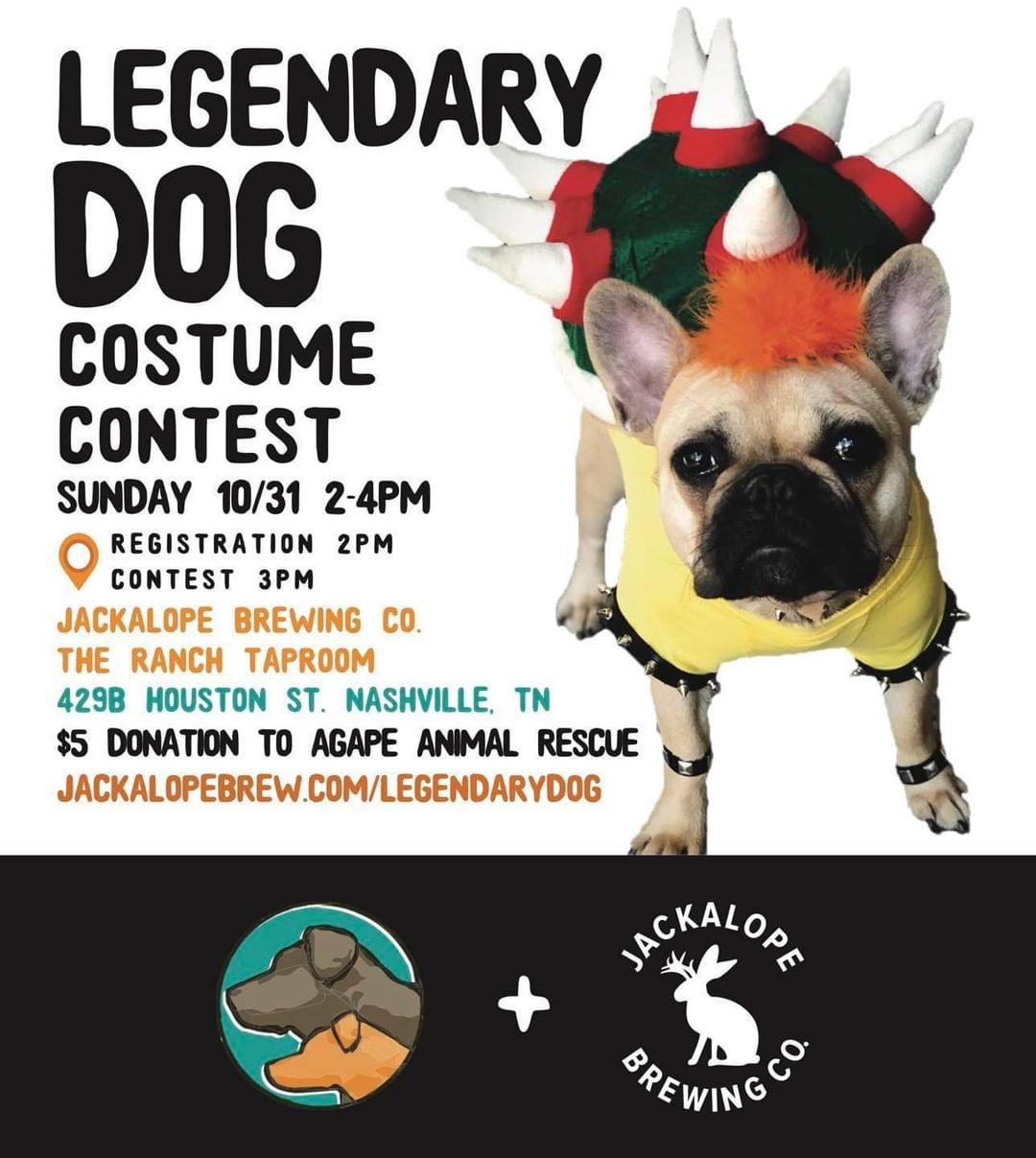We are very excited for the Legendary Dog Costume Contest at @jackalopetaproom this Sunday! 

There will be awards of Jackalope + Agape swag in three categories:
1. Cutest Costume
2. Scariest Costume
3. Most Original Costume

The more creative the costume, the better! Prior to the contest, join us for family friendly fun, spooky tunes, and tasty brews.

There is an entry fee of a $5 donation to Agape. Sign up in advance at jackalopebrew.com/legendarydog 🎃🐶 We hope to see you there!