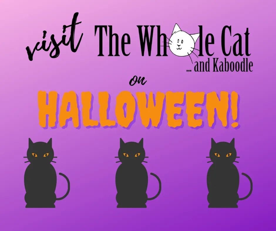 On Sunday October 31 only: free Halloween-themed wand toy with any purchase, AND the chance to see some of our employees in costume!⁣
⁣
<a target='_blank' href='https://www.instagram.com/explore/tags/PNWcat/'>#PNWcat</a> <a target='_blank' href='https://www.instagram.com/explore/tags/adoptdontshop/'>#adoptdontshop</a> <a target='_blank' href='https://www.instagram.com/explore/tags/catsofinstagram/'>#catsofinstagram</a> <a target='_blank' href='https://www.instagram.com/explore/tags/catsofig/'>#catsofig</a> <a target='_blank' href='https://www.instagram.com/explore/tags/instacat/'>#instacat</a> <a target='_blank' href='https://www.instagram.com/explore/tags/seattlecatsofinstagram/'>#seattlecatsofinstagram</a> <a target='_blank' href='https://www.instagram.com/explore/tags/redmondcatsofinstagram/'>#redmondcatsofinstagram</a> <a target='_blank' href='https://www.instagram.com/explore/tags/gato/'>#gato</a> <a target='_blank' href='https://www.instagram.com/explore/tags/neko/'>#neko</a> <a target='_blank' href='https://www.instagram.com/explore/tags/chat/'>#chat</a> <a target='_blank' href='https://www.instagram.com/explore/tags/kedi/'>#kedi</a> <a target='_blank' href='https://www.instagram.com/explore/tags/cat/'>#cat</a> <a target='_blank' href='https://www.instagram.com/explore/tags/rescuedismyfavoritebreed/'>#rescuedismyfavoritebreed</a> <a target='_blank' href='https://www.instagram.com/explore/tags/instacats/'>#instacats</a> <a target='_blank' href='https://www.instagram.com/explore/tags/meow/'>#meow</a> <a target='_blank' href='https://www.instagram.com/explore/tags/kitty/'>#kitty</a> <a target='_blank' href='https://www.instagram.com/explore/tags/kittycat/'>#kittycat</a> <a target='_blank' href='https://www.instagram.com/explore/tags/instapet/'>#instapet</a> <a target='_blank' href='https://www.instagram.com/explore/tags/instakitty/'>#instakitty</a> <a target='_blank' href='https://www.instagram.com/explore/tags/cutecat/'>#cutecat</a> <a target='_blank' href='https://www.instagram.com/explore/tags/cutecats/'>#cutecats</a> <a target='_blank' href='https://www.instagram.com/explore/tags/cats/'>#cats</a> <a target='_blank' href='https://www.instagram.com/explore/tags/catstagram/'>#catstagram</a>  <a target='_blank' href='https://www.instagram.com/explore/tags/supportsmallbusiness/'>#supportsmallbusiness</a> <a target='_blank' href='https://www.instagram.com/explore/tags/smallbusiness/'>#smallbusiness</a> <a target='_blank' href='https://www.instagram.com/explore/tags/catcafe/'>#catcafe</a>