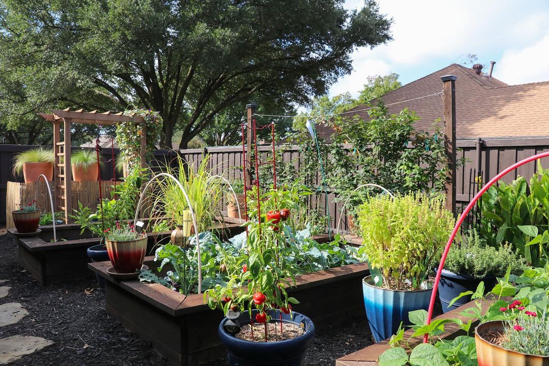 Last Saturday, the WaterWise Landscape Tour was all the buzz 🐝 

We hope you felt inspired by these beautiful and sustainable local landscapes! 🌷🌼💧

<a target='_blank' href='https://www.instagram.com/explore/tags/loveplano/'>#loveplano</a> <a target='_blank' href='https://www.instagram.com/explore/tags/planotx/'>#planotx</a> <a target='_blank' href='https://www.instagram.com/explore/tags/sustainability/'>#sustainability</a> <a target='_blank' href='https://www.instagram.com/explore/tags/garden/'>#garden</a>