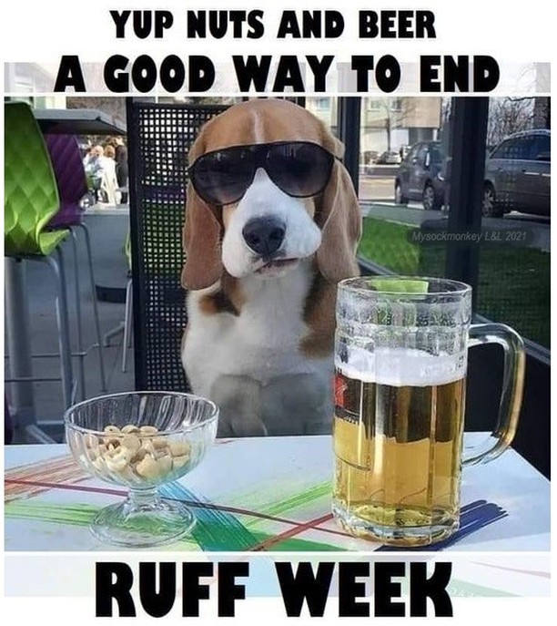 Friday's Funny.... How to end a <a target='_blank' href='https://www.instagram.com/explore/tags/RuffWeek/'>#RuffWeek</a>!