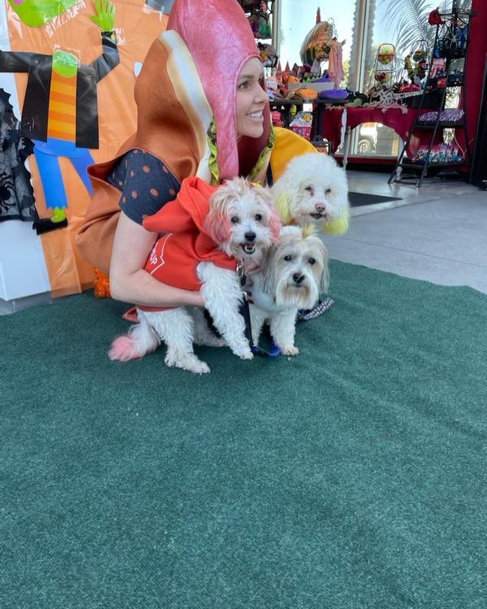 That 🌭 is none other than BRB Foster Fail @vieveland with her beautiful pack of senior girls… Samantha, Kiwi and April (ketchup, popcorn and mustard ). They were at @topdogbarkery HOWL’oween pawty 🎃🕸👻 @vieveland and Kiwi adopted bonded senior girls April and Samantha when their previous owner was no longer to keep them.  <a target='_blank' href='https://www.instagram.com/explore/tags/fosterfail/'>#fosterfail</a><a target='_blank' href='https://www.instagram.com/explore/tags/fosteringsaveslives/'>#fosteringsaveslives</a><a target='_blank' href='https://www.instagram.com/explore/tags/makeadifference/'>#makeadifference</a><a target='_blank' href='https://www.instagram.com/explore/tags/seniordogsofinstagram/'>#seniordogsofinstagram</a><a target='_blank' href='https://www.instagram.com/explore/tags/dailyfluff/'>#dailyfluff</a> <a target='_blank' href='https://www.instagram.com/explore/tags/halloween/'>#halloween</a><a target='_blank' href='https://www.instagram.com/explore/tags/adopt/'>#adopt</a><a target='_blank' href='https://www.instagram.com/explore/tags/rescuedogs/'>#rescuedogs</a>