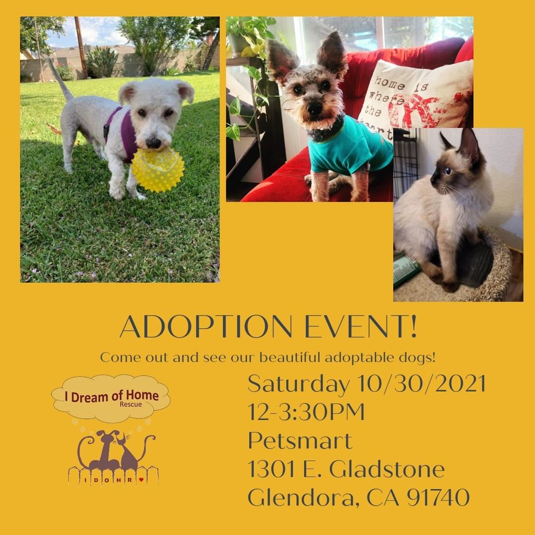 ADOPTION EVENT THIS SATURDAY!

Please come out and join us and meet our fur babies looking for forever homes!