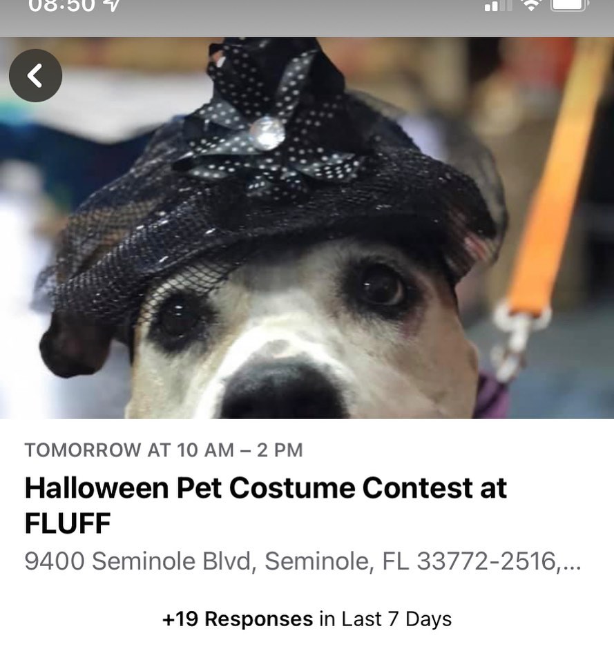 Come on out! <a target='_blank' href='https://www.instagram.com/explore/tags/halloweencostume/'>#halloweencostume</a> <a target='_blank' href='https://www.instagram.com/explore/tags/halloweendogs/'>#halloweendogs</a>