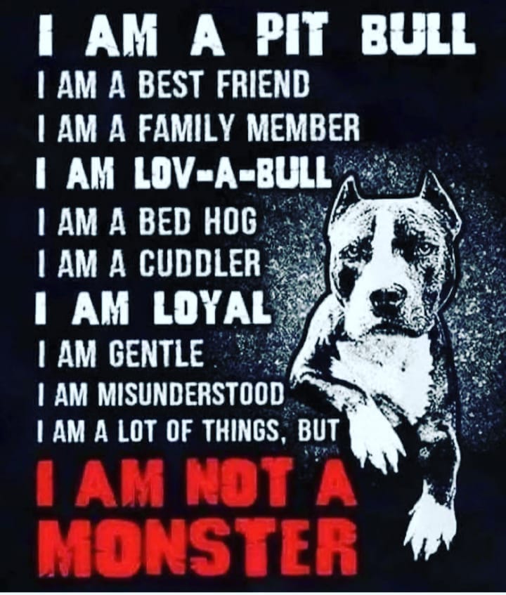 <a target='_blank' href='https://www.instagram.com/explore/tags/nationalpitbullawarenessmonth/'>#nationalpitbullawarenessmonth</a>