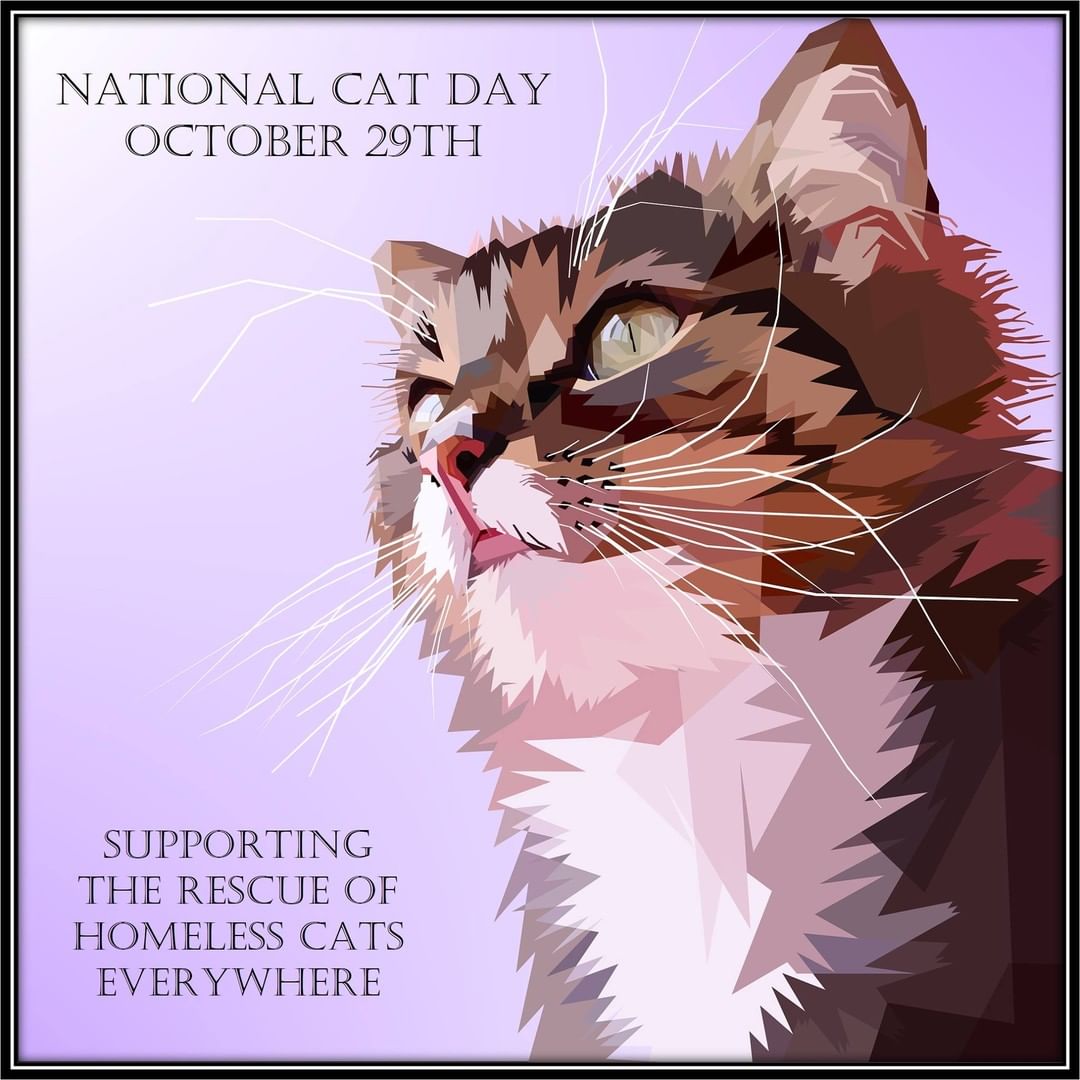 National Cat Day brings awareness to homeless cat rescue efforts.  Thanking all those who participate in cat rescue! ❤️🖤🤍🤎🐈