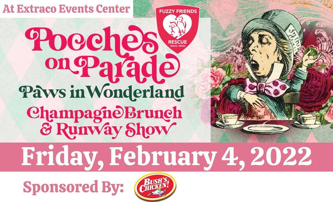 NEW DATE FOR POOCHES ON PARADE!! Our annual champagne brunch and runway show has been rescheduled for FRIDAY, FEBRUARY 4, 2022!! We have the costumes and models ready to go and can’t wait to see all of you!