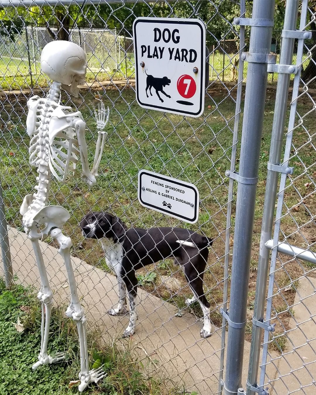 When you're spooky but you still got a humane society to run 🤷💀

Happy Halloween! Pro tip: call your pets' microchip company today and make sure all your info is up to date before the trick-or-treating kicks off. Lots of pets get lost on Halloween due to the constant opening of the door and overall spookiness of the masks/costumes/doorbells/strangers/children/whatever your particular pet is spooked by. 

<a target='_blank' href='https://www.instagram.com/explore/tags/spookyscaryskeletons/'>#spookyscaryskeletons</a> <a target='_blank' href='https://www.instagram.com/explore/tags/halloween/'>#halloween</a> <a target='_blank' href='https://www.instagram.com/explore/tags/spookyhalloween/'>#spookyhalloween</a> <a target='_blank' href='https://www.instagram.com/explore/tags/spookyseason/'>#spookyseason</a> <a target='_blank' href='https://www.instagram.com/explore/tags/scarethelex/'>#scarethelex</a> <a target='_blank' href='https://www.instagram.com/explore/tags/scarethelexpets/'>#scarethelexpets</a> <a target='_blank' href='https://www.instagram.com/explore/tags/sharethelex/'>#sharethelex</a> <a target='_blank' href='https://www.instagram.com/explore/tags/sharethelexpets/'>#sharethelexpets</a> <a target='_blank' href='https://www.instagram.com/explore/tags/dog/'>#dog</a> <a target='_blank' href='https://www.instagram.com/explore/tags/puppy/'>#puppy</a> <a target='_blank' href='https://www.instagram.com/explore/tags/cat/'>#cat</a> <a target='_blank' href='https://www.instagram.com/explore/tags/kitten/'>#kitten</a> <a target='_blank' href='https://www.instagram.com/explore/tags/rescuedogsofinstagram/'>#rescuedogsofinstagram</a> <a target='_blank' href='https://www.instagram.com/explore/tags/dogsofinstagram/'>#dogsofinstagram</a> <a target='_blank' href='https://www.instagram.com/explore/tags/rescuekittensofinstagram/'>#rescuekittensofinstagram</a> <a target='_blank' href='https://www.instagram.com/explore/tags/kittensofinstagram/'>#kittensofinstagram</a>