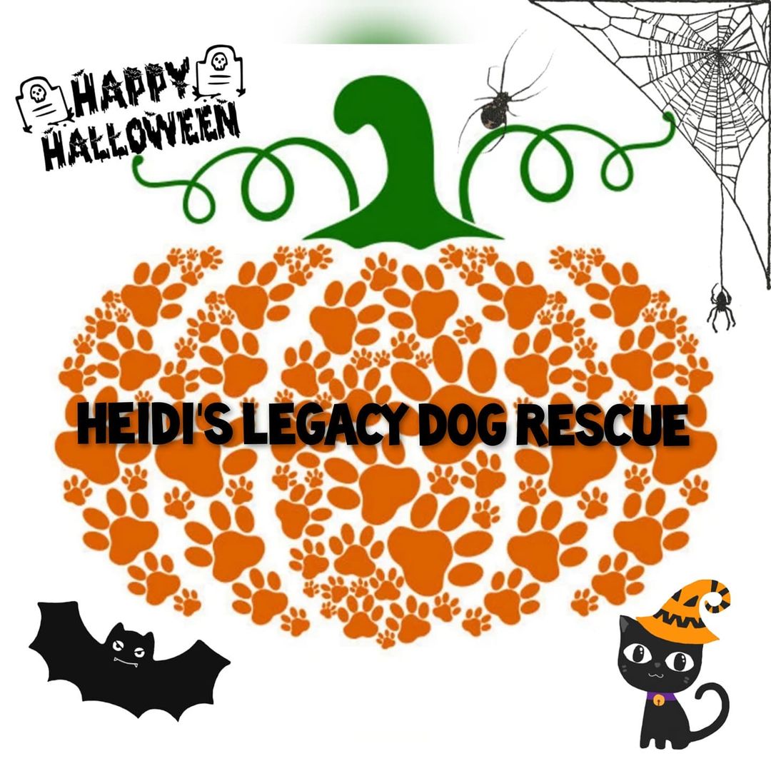 Happy Halloween from all of us at Heidi's Legacy Dog Rescue.  Please be safe tonight!!! 🎃 👻 🎃 👻 🎃 👻 

<a target='_blank' href='https://www.instagram.com/explore/tags/happyhalloween/'>#happyhalloween</a> <a target='_blank' href='https://www.instagram.com/explore/tags/halloween/'>#halloween</a> <a target='_blank' href='https://www.instagram.com/explore/tags/rescuedogsofinstagram/'>#rescuedogsofinstagram</a> <a target='_blank' href='https://www.instagram.com/explore/tags/pumpkin/'>#pumpkin</a> <a target='_blank' href='https://www.instagram.com/explore/tags/halloween/'>#halloween</a>🎃 <a target='_blank' href='https://www.instagram.com/explore/tags/halloween2021/'>#halloween2021</a> <a target='_blank' href='https://www.instagram.com/explore/tags/happyhalloween/'>#happyhalloween</a>