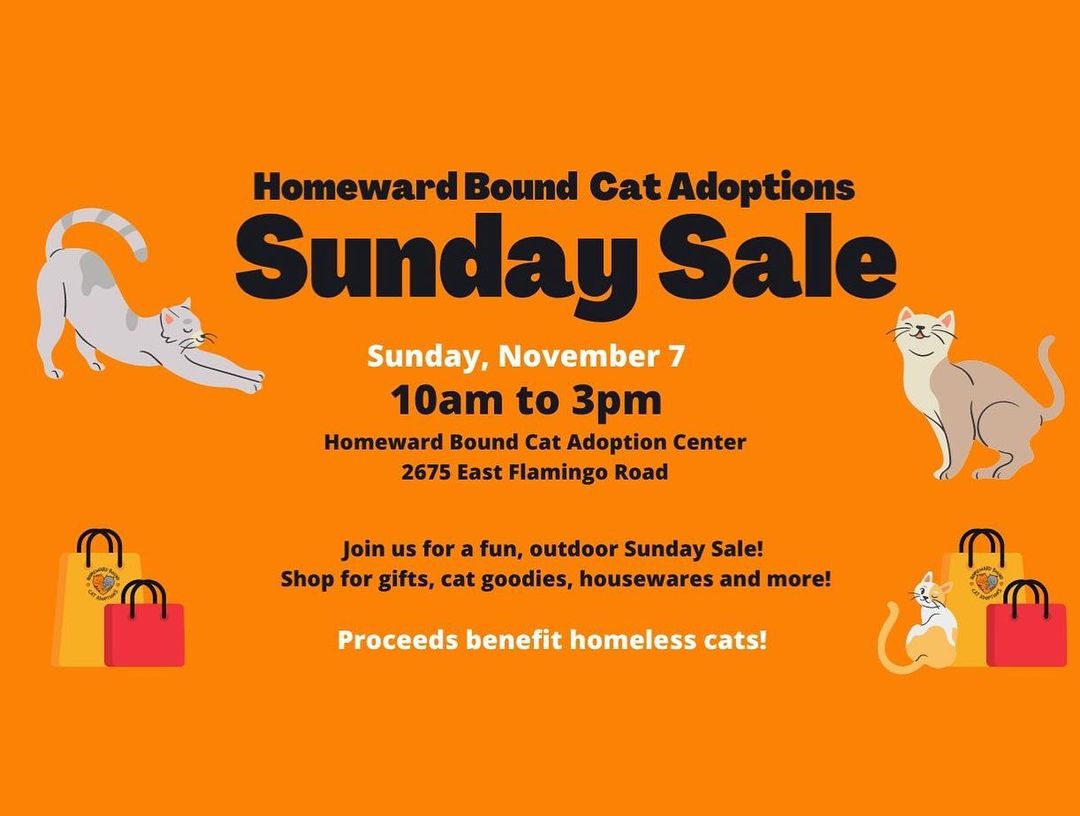 Save the date for our Sunday Sale! Get your holiday shopping done early for your pets and humans, too! It takes place outdoors at our adoption center, Sunday, November 7 from 10am to 3pm. Please, SHARE, and see you there! Proceeds benefit homeless cats.

<a target='_blank' href='https://www.instagram.com/explore/tags/nonprofit/'>#nonprofit</a> <a target='_blank' href='https://www.instagram.com/explore/tags/yardsale/'>#yardsale</a> <a target='_blank' href='https://www.instagram.com/explore/tags/sundaysale/'>#sundaysale</a> <a target='_blank' href='https://www.instagram.com/explore/tags/sale/'>#sale</a> <a target='_blank' href='https://www.instagram.com/explore/tags/shoplocal/'>#shoplocal</a>