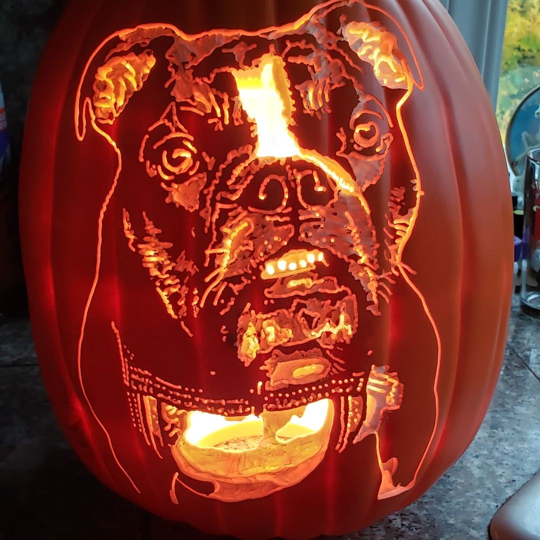 Thank you @thepumpkingeek for this amazing piece! Jolene the bulldog is very happy with the results! <a target='_blank' href='https://www.instagram.com/explore/tags/bulldogsofig/'>#bulldogsofig</a> <a target='_blank' href='https://www.instagram.com/explore/tags/pumpkincarving/'>#pumpkincarving</a> <a target='_blank' href='https://www.instagram.com/explore/tags/nailedit/'>#nailedit</a> <a target='_blank' href='https://www.instagram.com/explore/tags/thepumpkingeek/'>#thepumpkingeek</a> <a target='_blank' href='https://www.instagram.com/explore/tags/englishbulldoglovers/'>#englishbulldoglovers</a> <a target='_blank' href='https://www.instagram.com/explore/tags/halloween2021/'>#halloween2021</a>