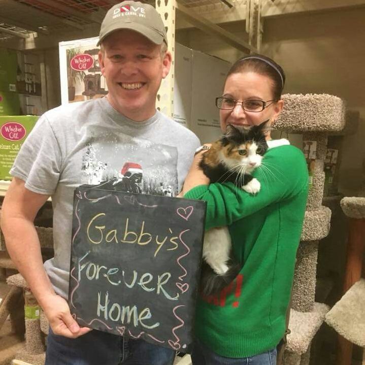 Hello fellow cat lovers! Hope you had a fantastic weekend! We had 3 great adoptions. Lucky kitties, Tiggy, Gabby and Kershaw all found their forever families. Have good lives, Kitties!