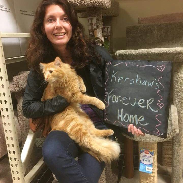 Hello fellow cat lovers! Hope you had a fantastic weekend! We had 3 great adoptions. Lucky kitties, Tiggy, Gabby and Kershaw all found their forever families. Have good lives, Kitties!